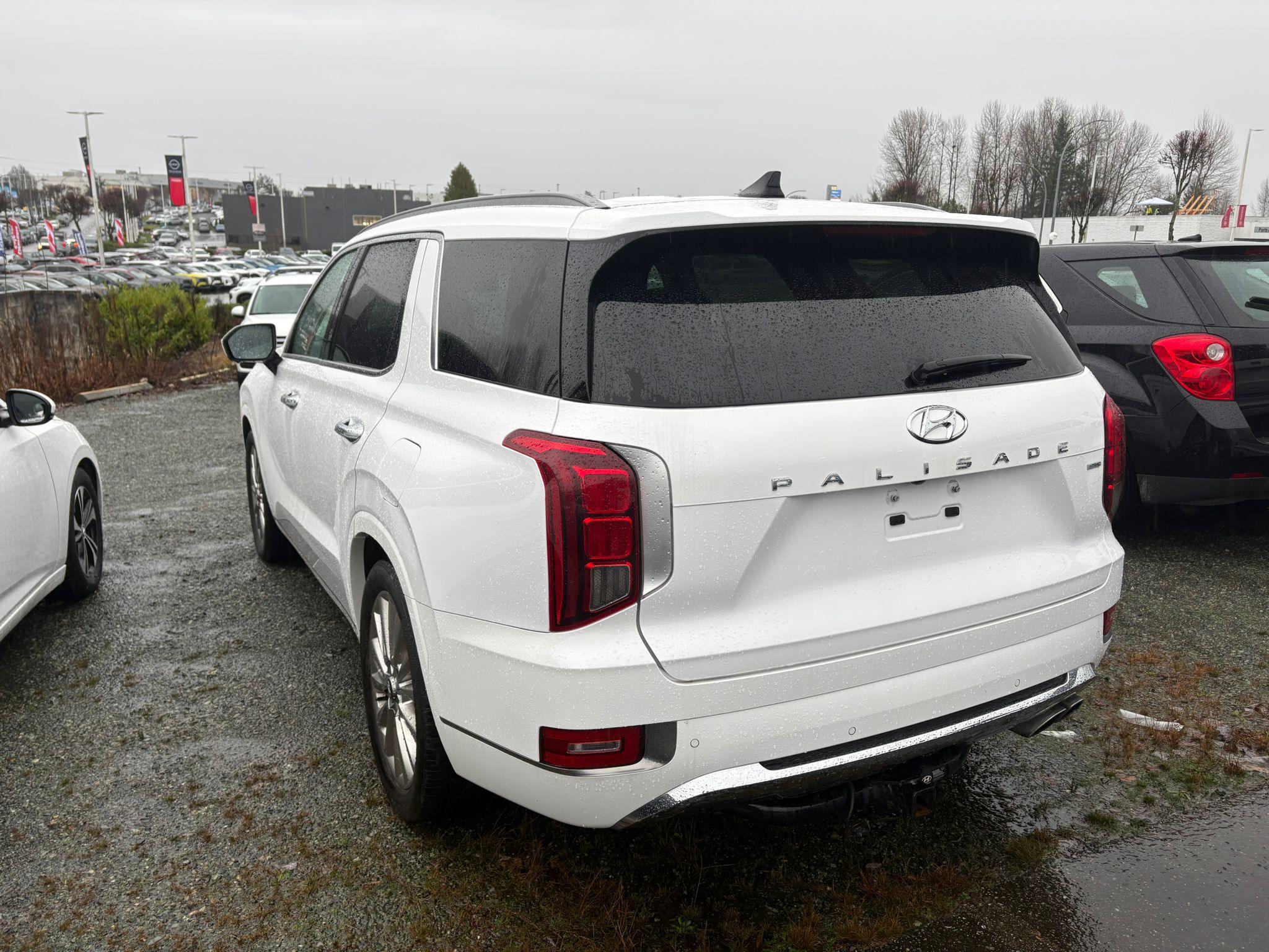2020 Hyundai Palisade Ultimate - photo 3