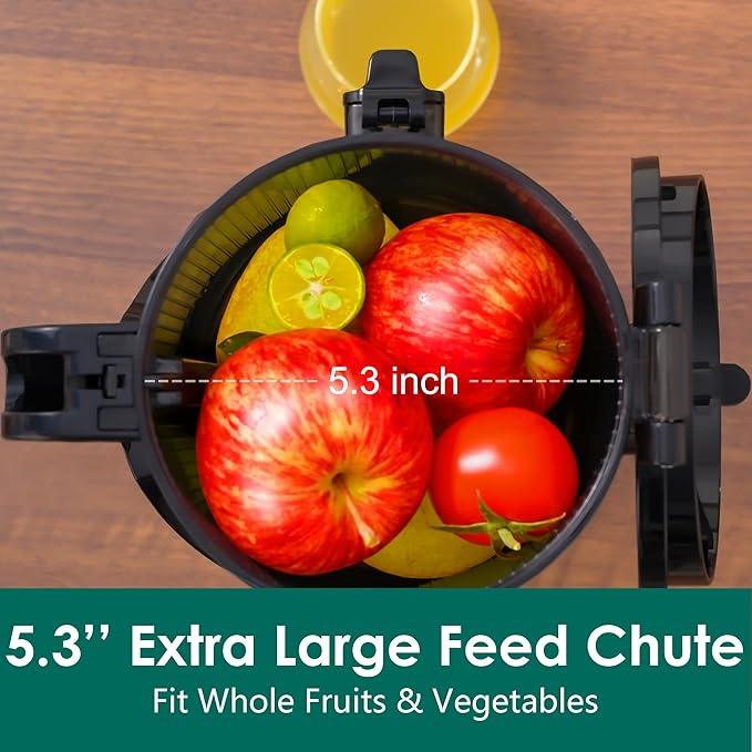 Fretta Cold Press Juicer Machine - photo 5