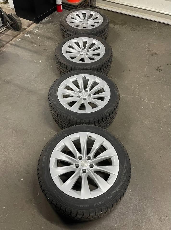 20 Inch OEM Tesla X Winter Package