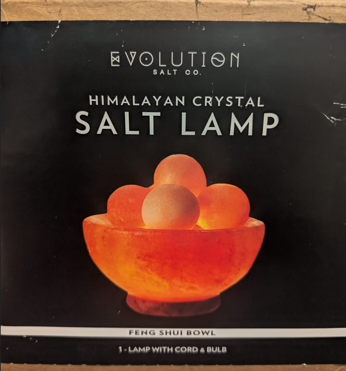 Himalayan Salt Bowl Lamp & Massage Stones (Evolution Salt Co.)