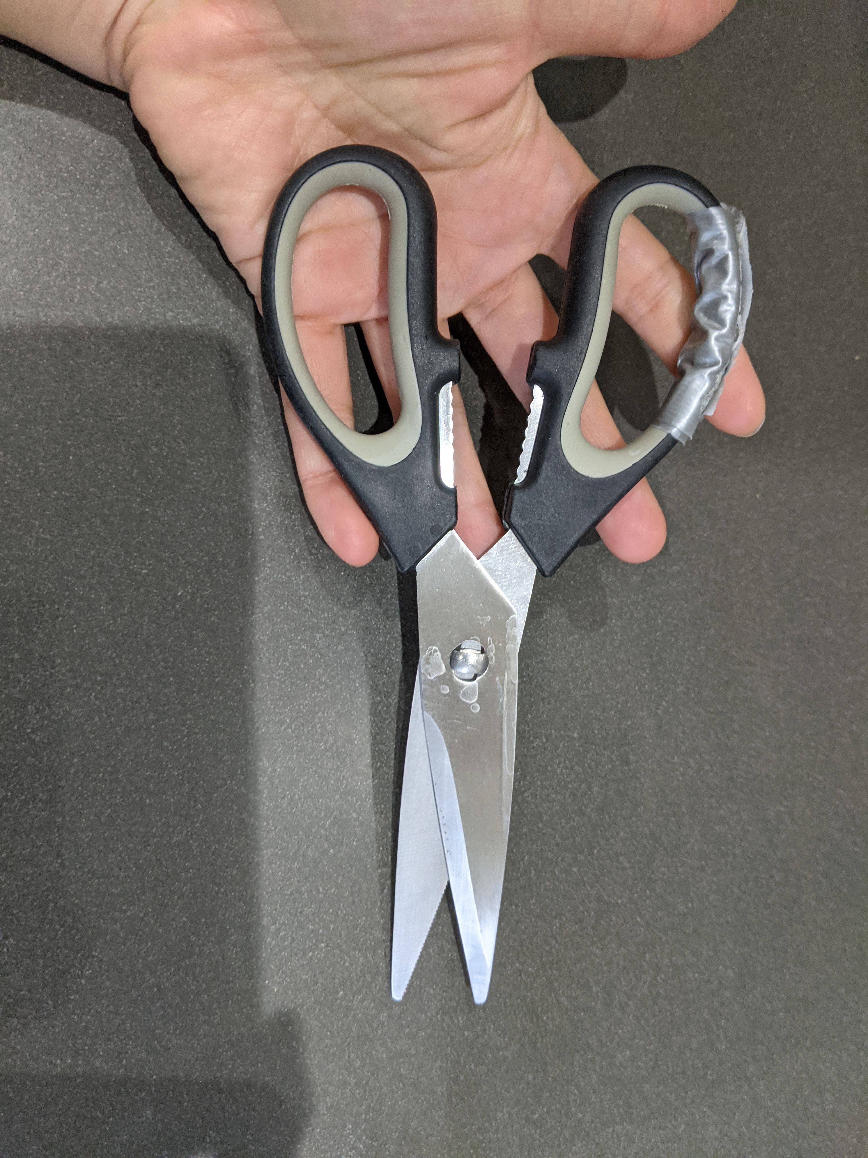 Multi-Purpose Kitchen Scissors [broken handle]