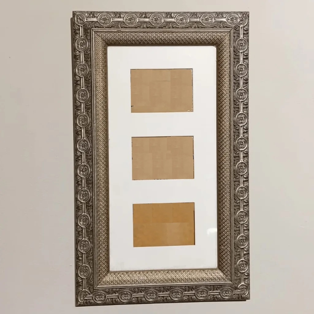 REG PRICE $55-BRAND NEW Ornate Silver Picture Frame,Triple Mat