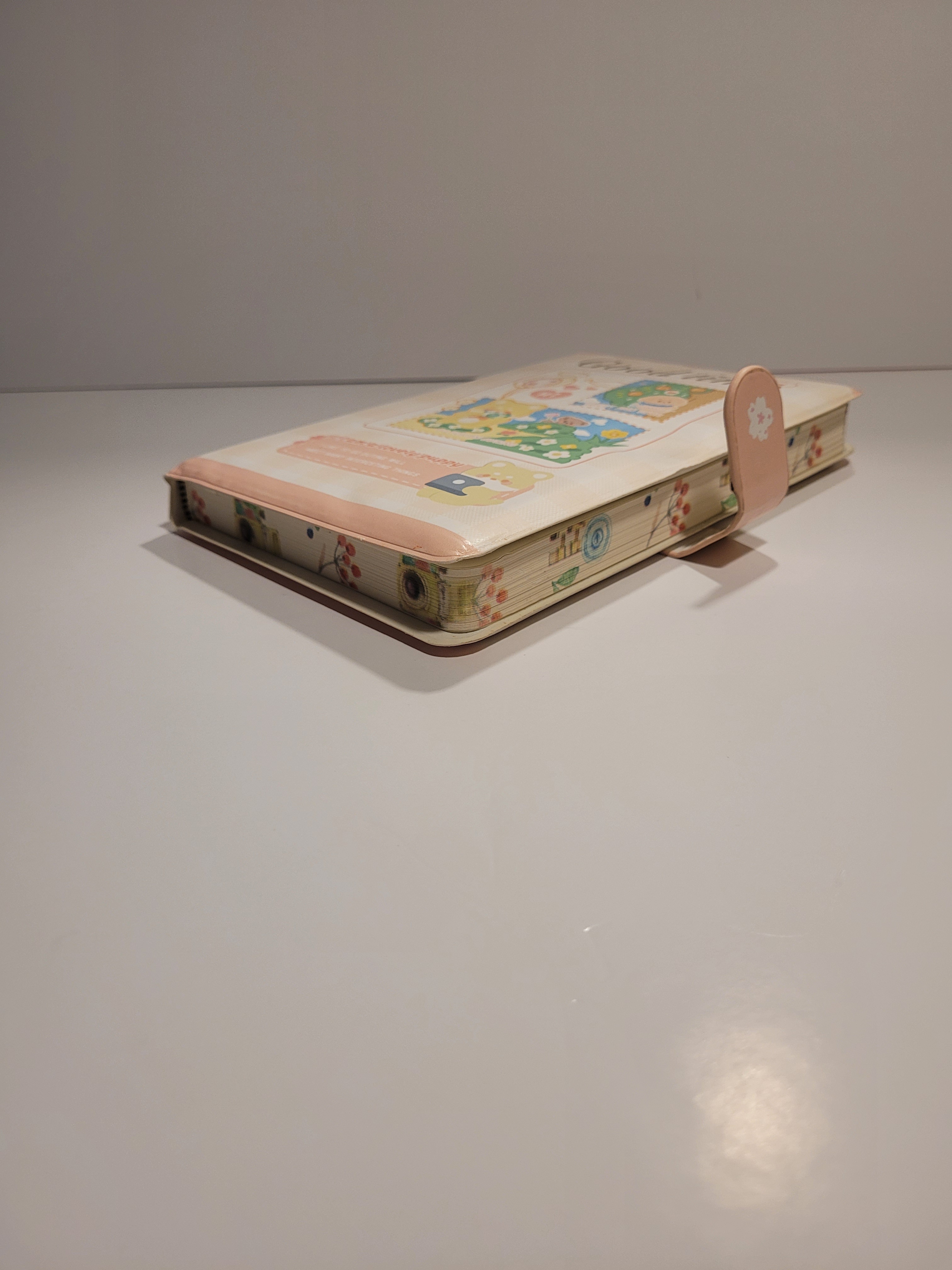 Flawed colored-edged notebook - photo 4