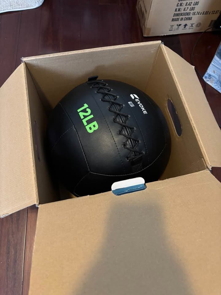 BRAND NEW EVOKE 12lb Wall Ball