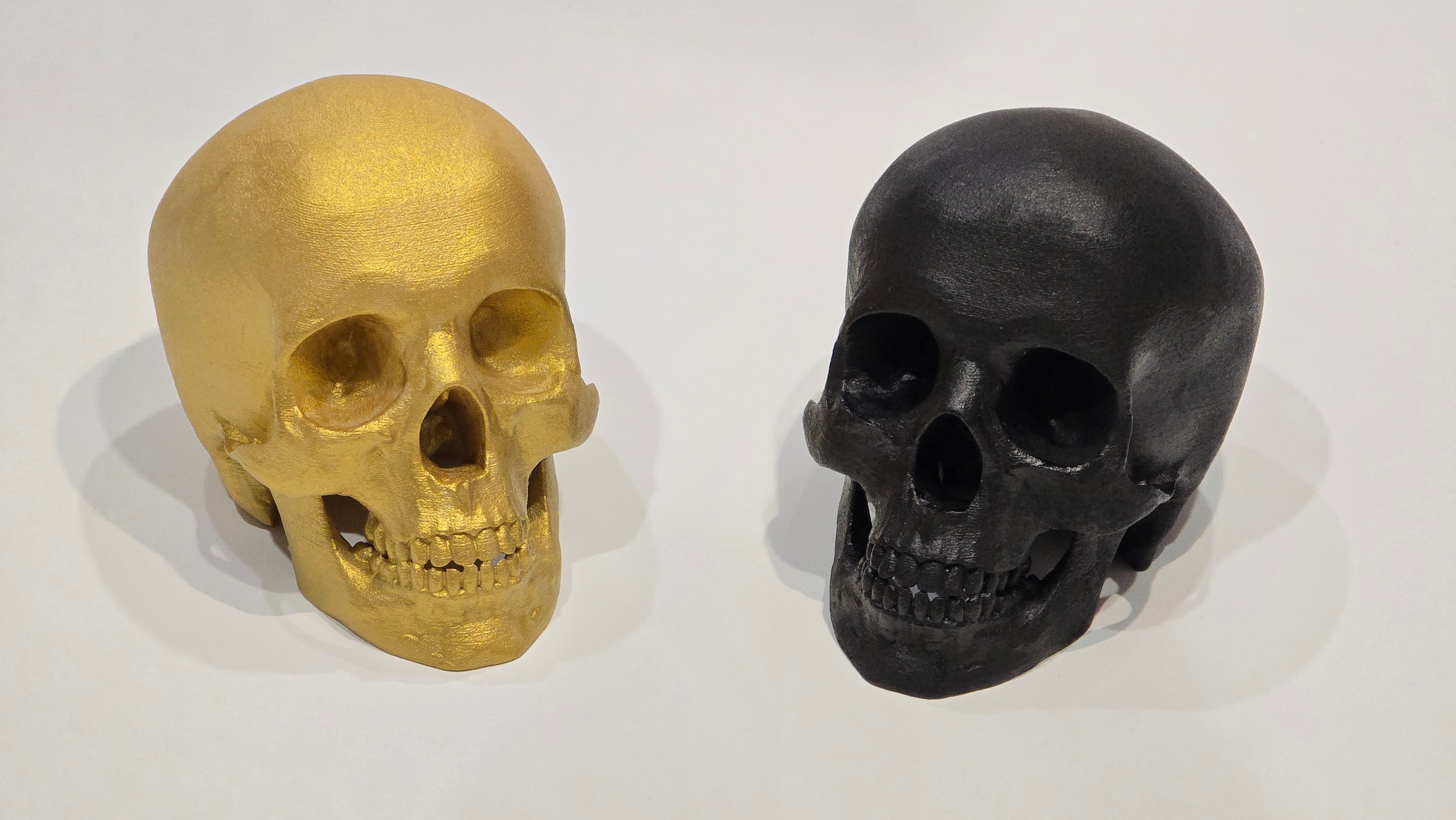 SOLID GOLD/BLACK PAINTED SKULL MODEL - photo 2