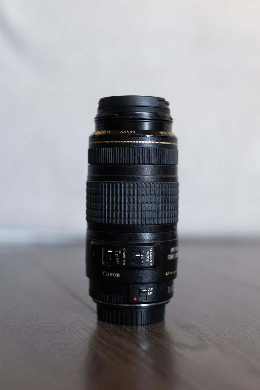 Canon EF 70-300mm f/4-5.6 IS USM — versatile telephoto
