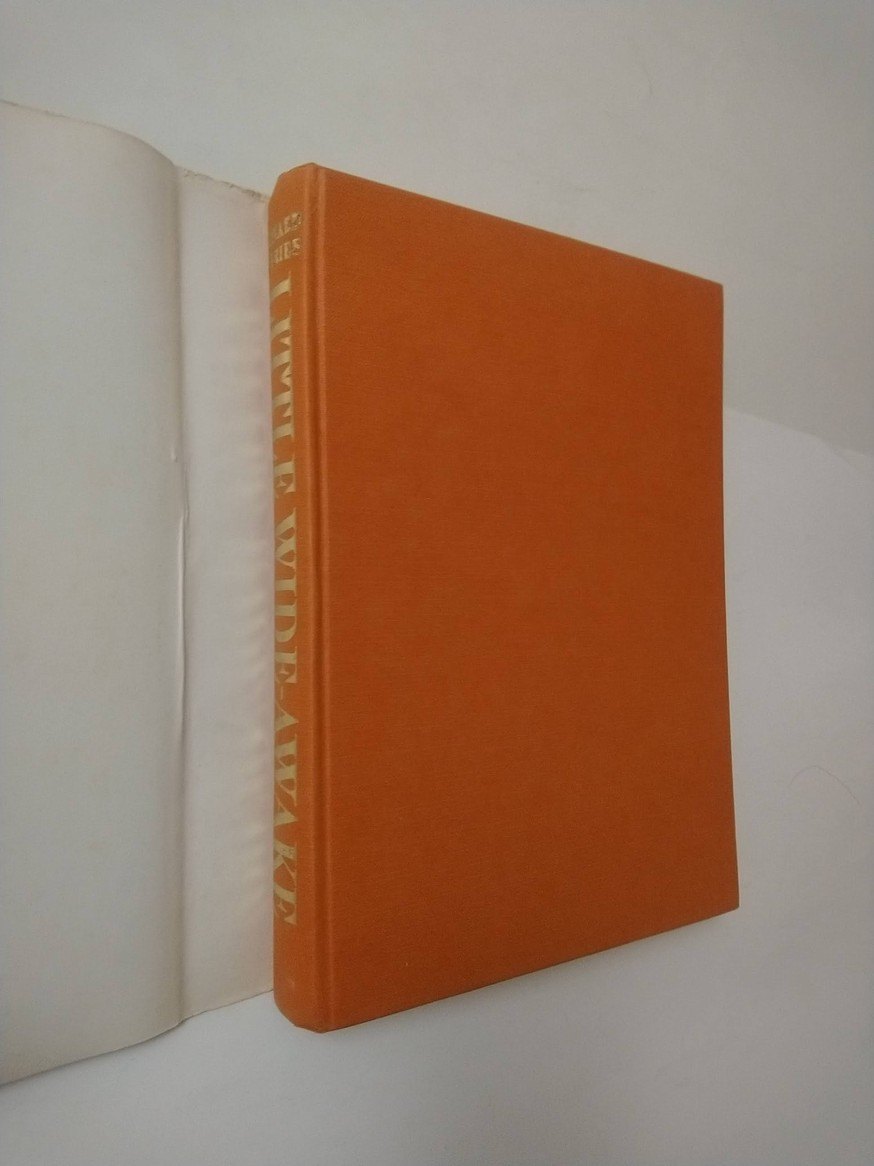 Little Wide-Awake: An Anthology of Victorian Children's Books - photo 2