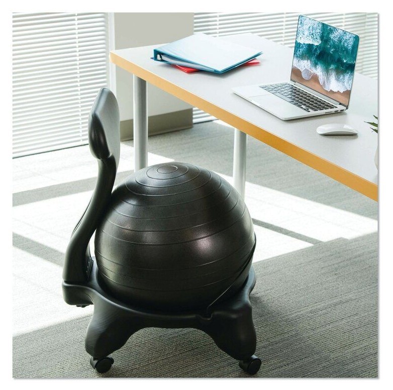 Backed Ergonomic Yoga Ball Chair