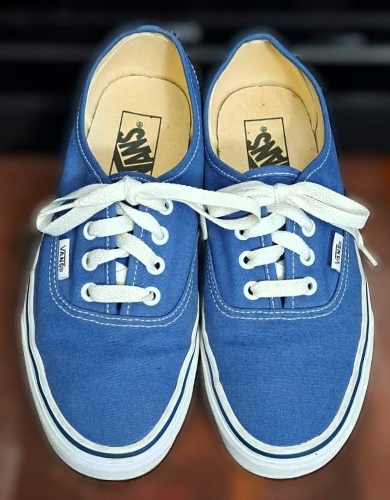 Classic Vans Authentic Sneakers Excellent Condition Like New🥕