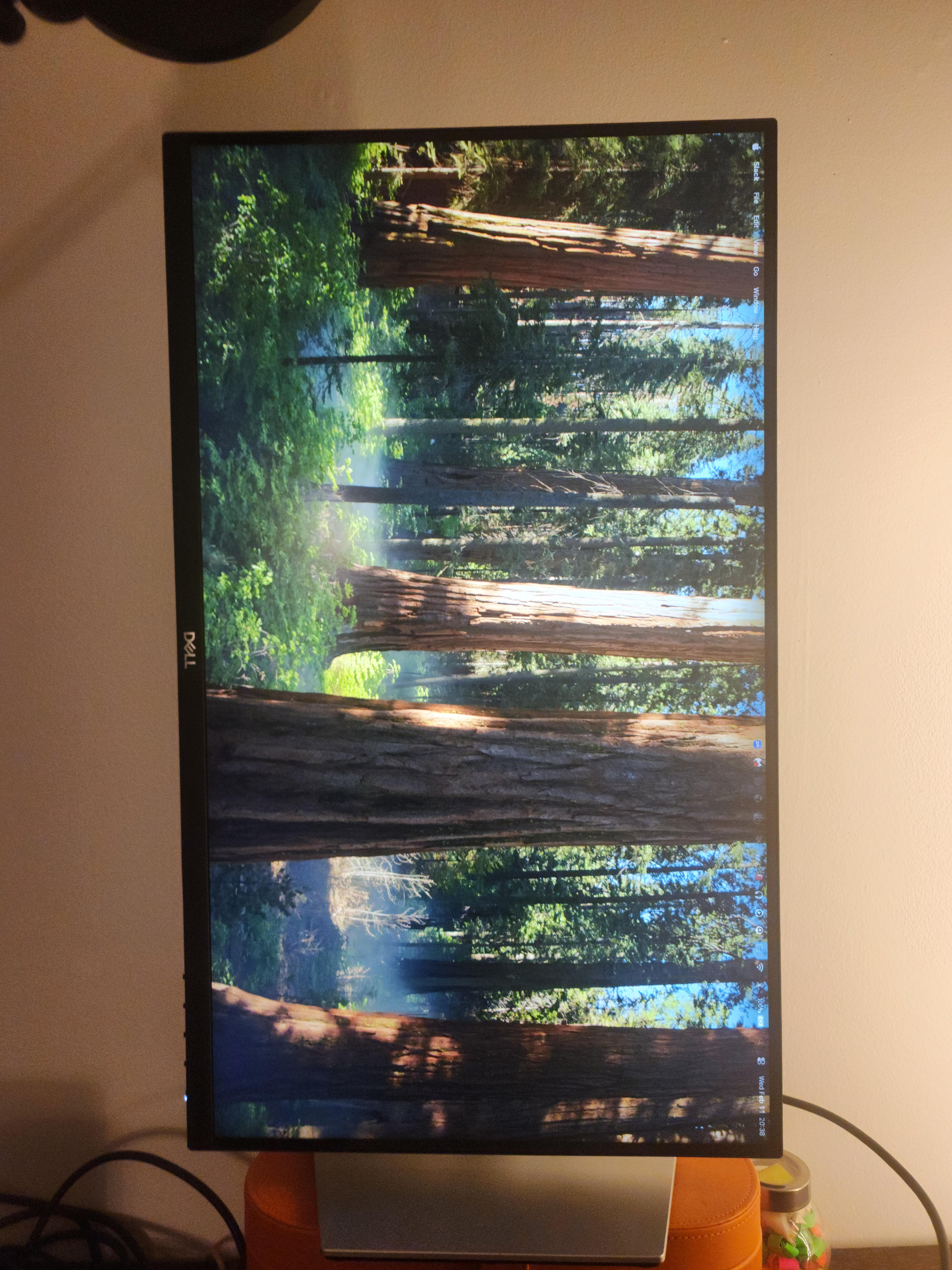 Dell 27 4K Monitor - S2721QS - photo 2
