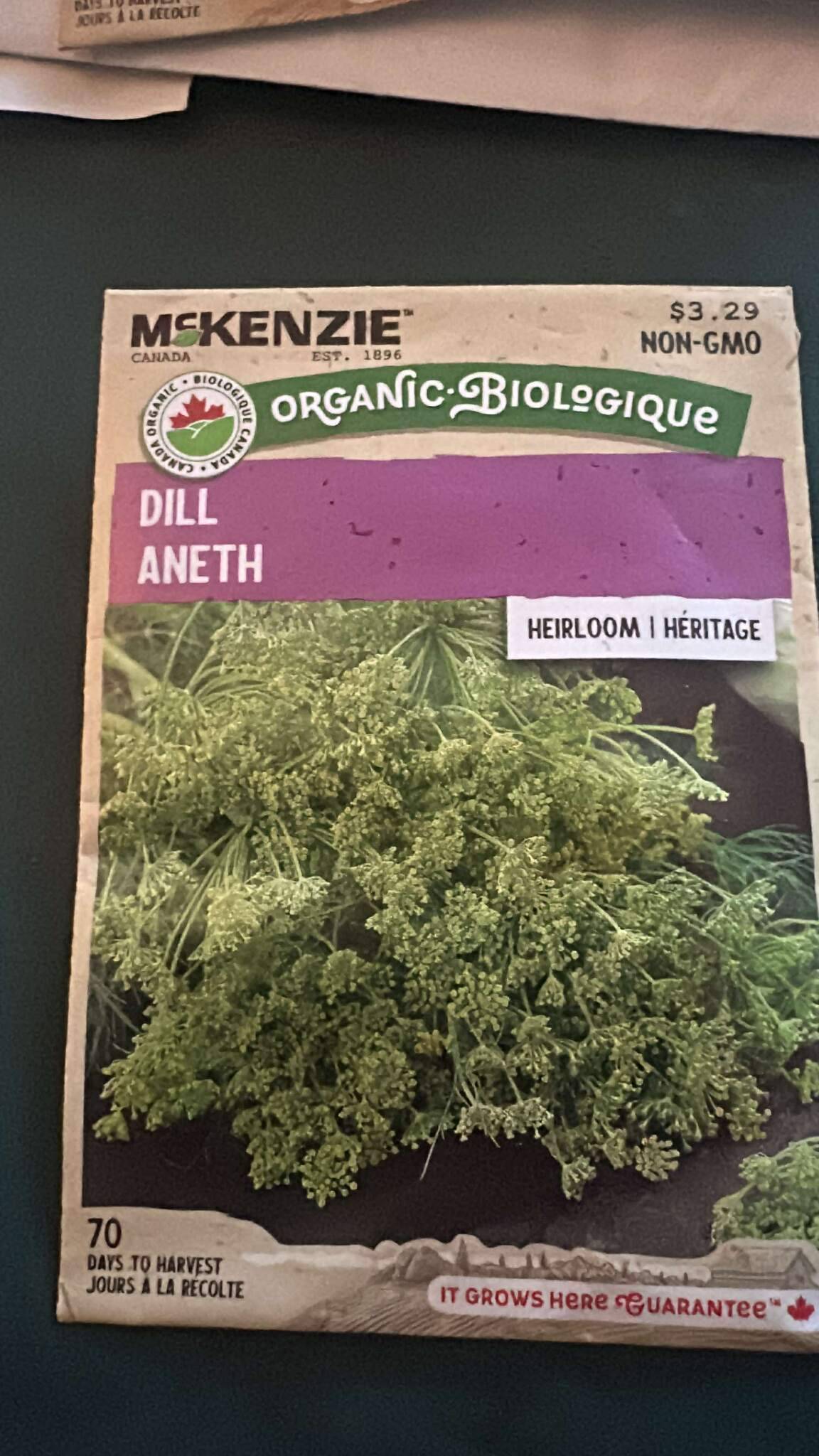 1 McKenzie Dill Aneth Heirloom Seeds