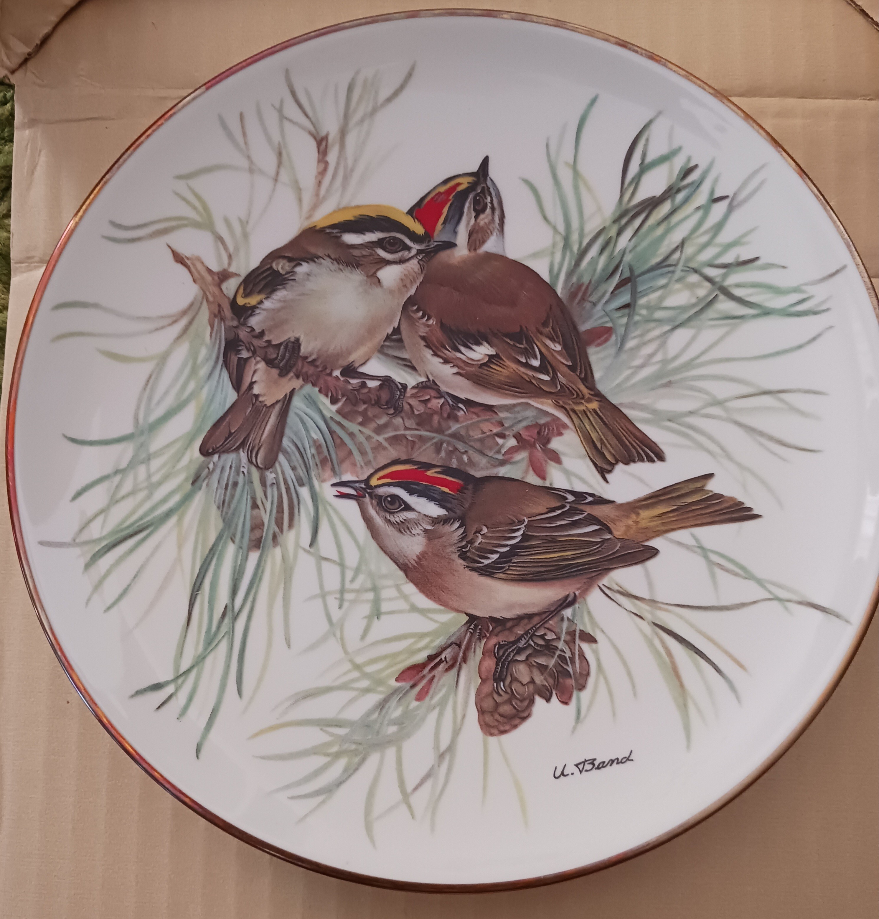 Fine Decorative Songbirds of Europe Plate By Ursula Band-WWF - photo 3