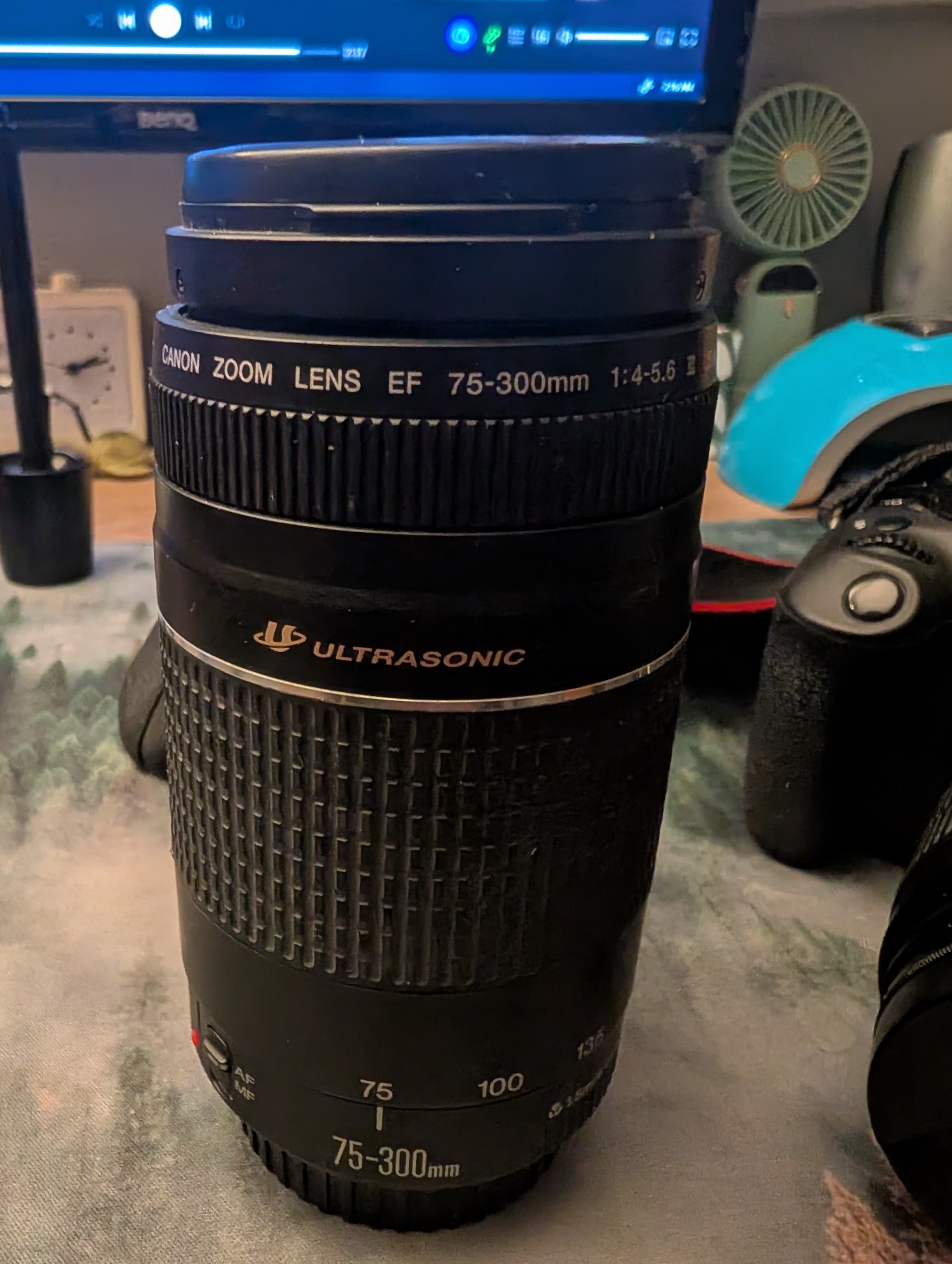 Canon 75-300 zoom lens