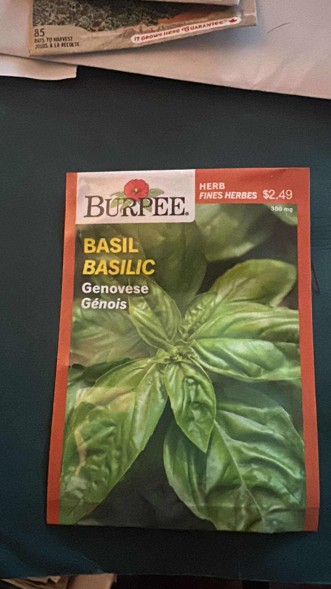 1 Burpee Basil Seeds - Genovese