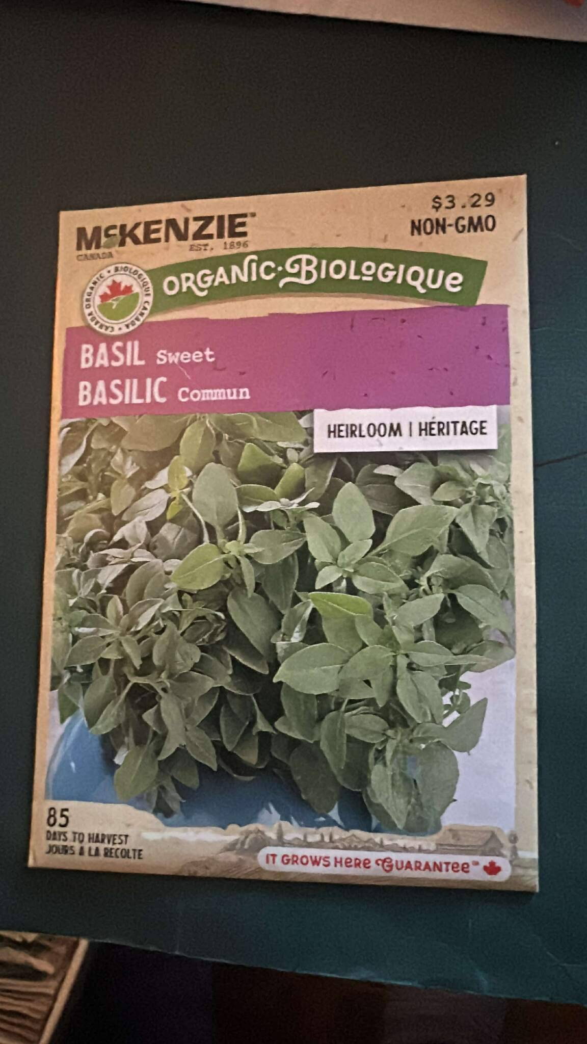 1 McKenzie Sweet Basil Seeds