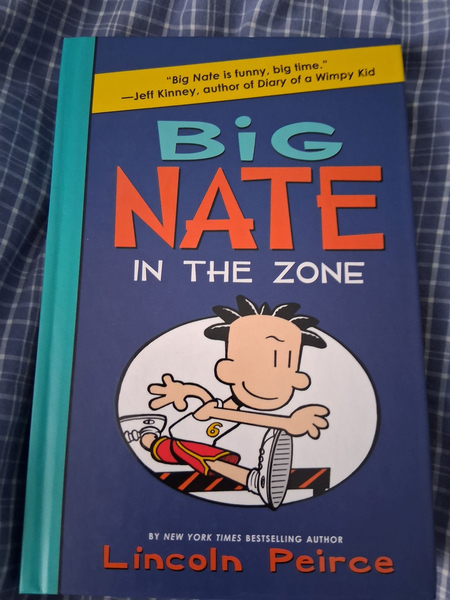 Big Nate: In The Zone