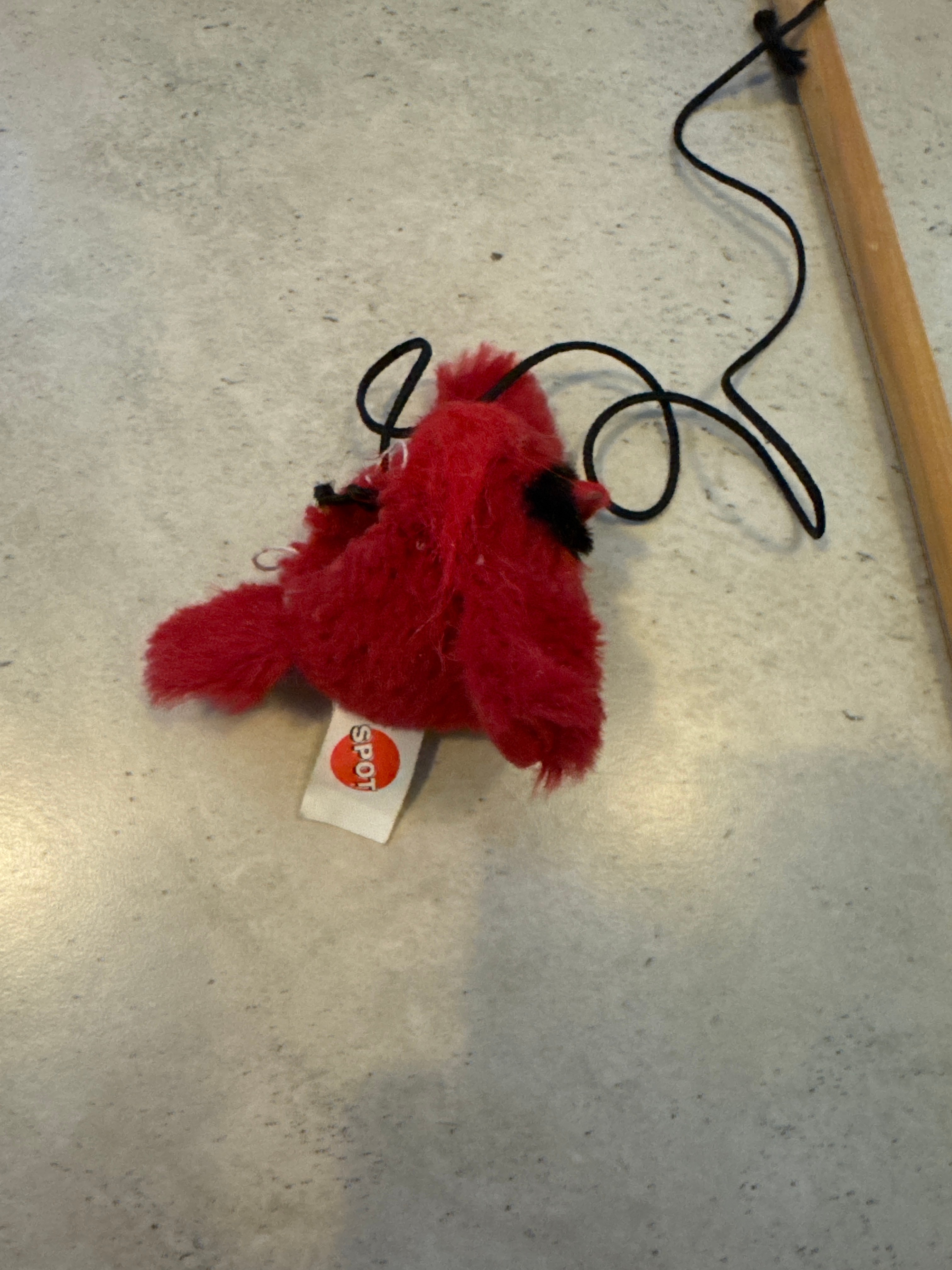SPOT Pet Bird Cat Toy 🏆 - photo 2