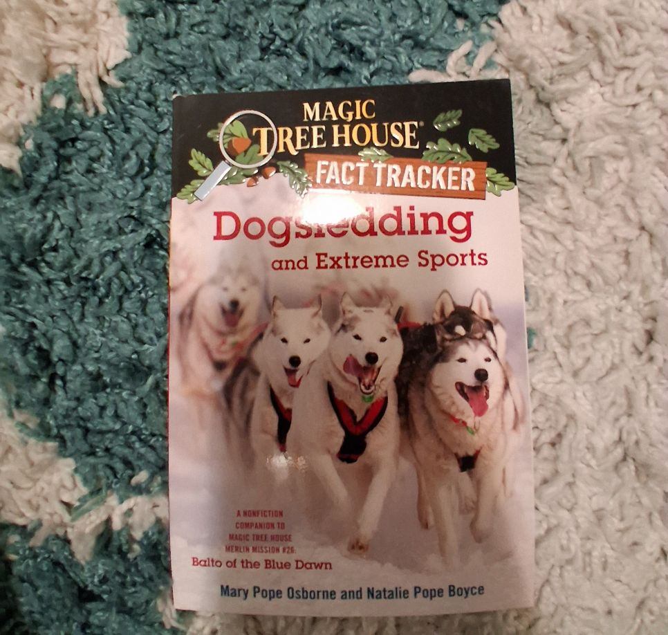 Magic tree house