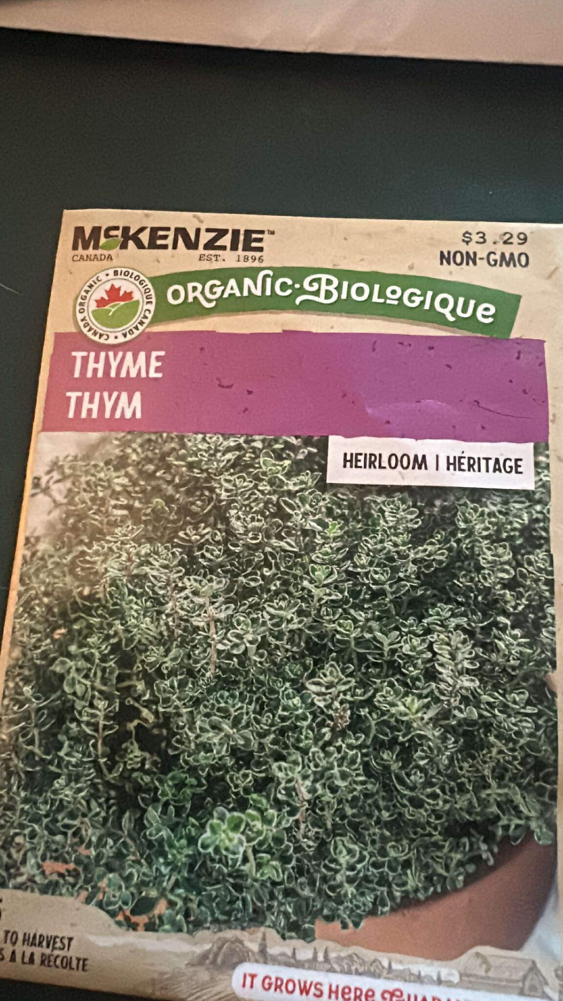 2 McKenzie Organic Thyme Seeds