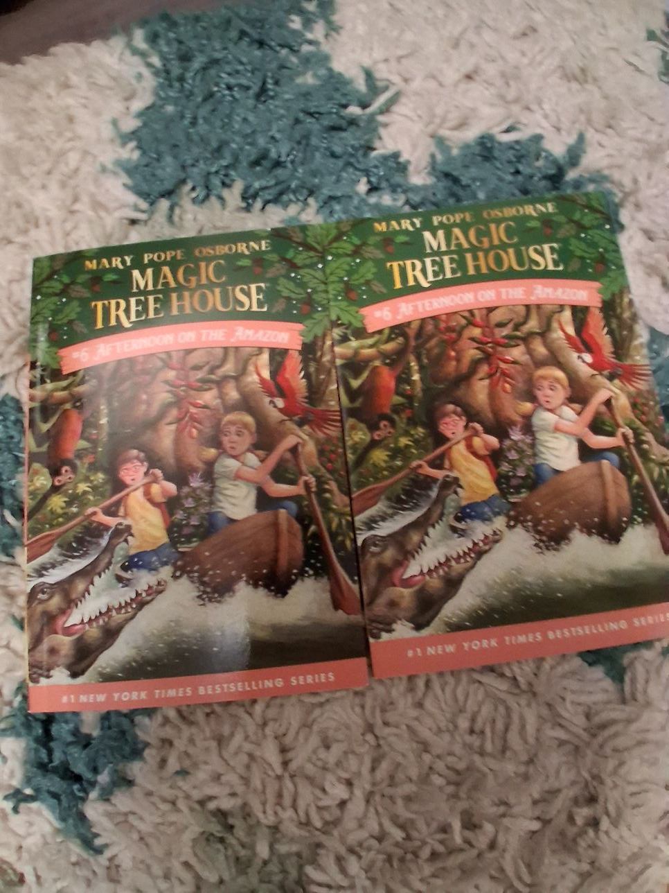 Magic tree house 2