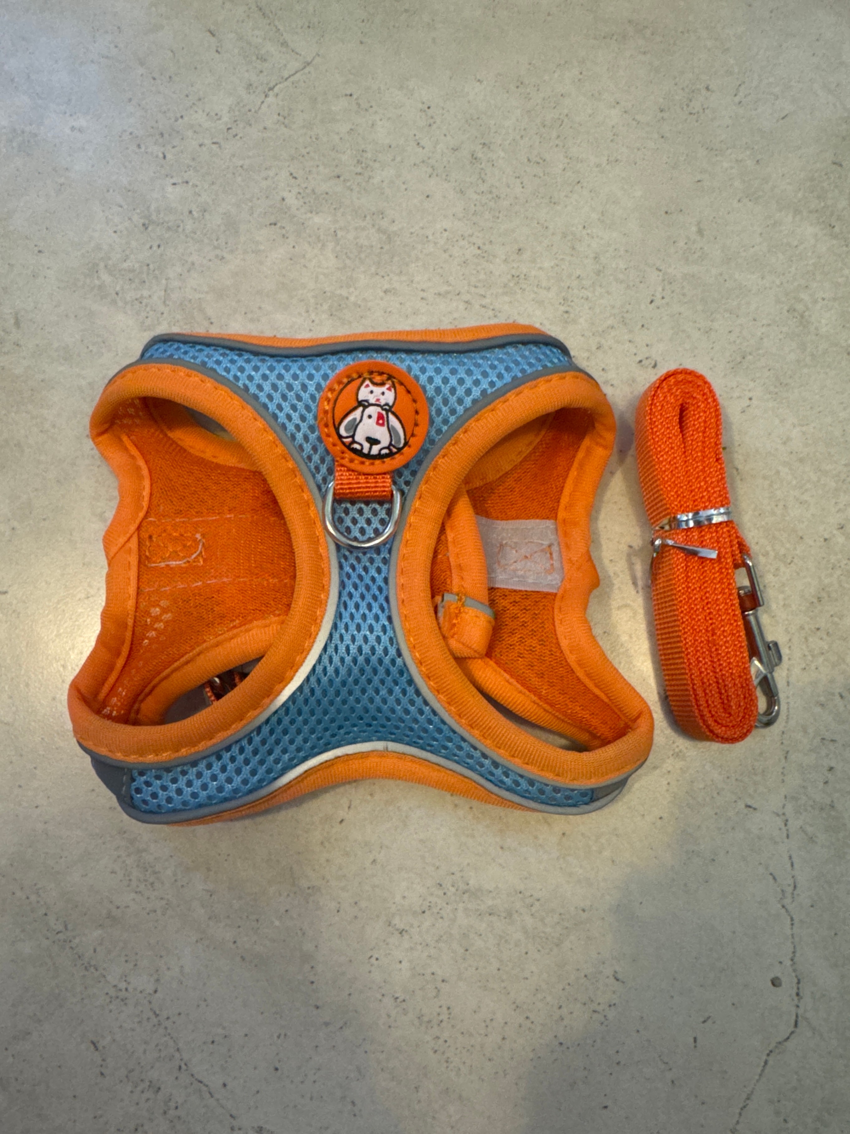 🏆 Cat Harness with Leash - Size M