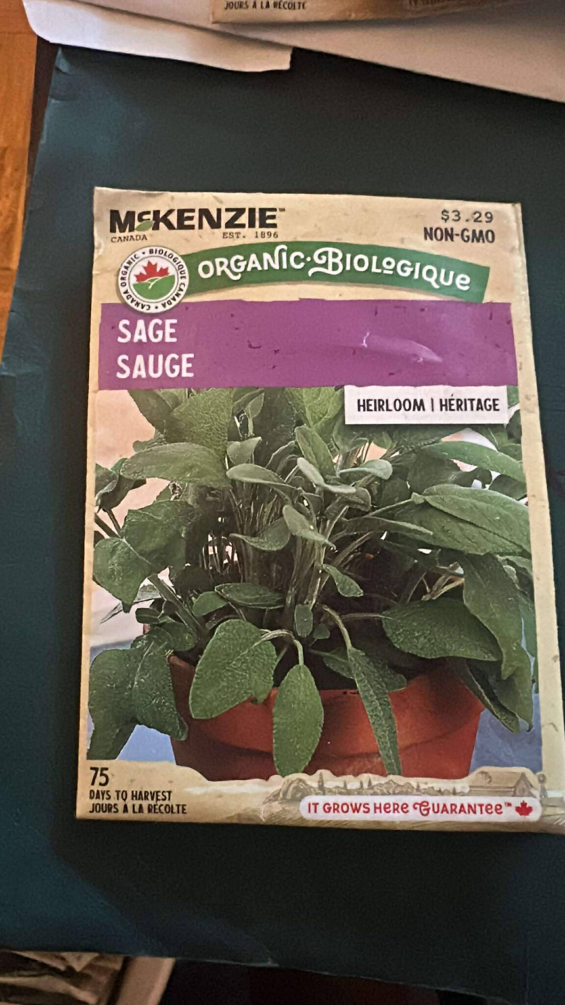 1 McKenzie Sage Seeds - Heirloom Variety