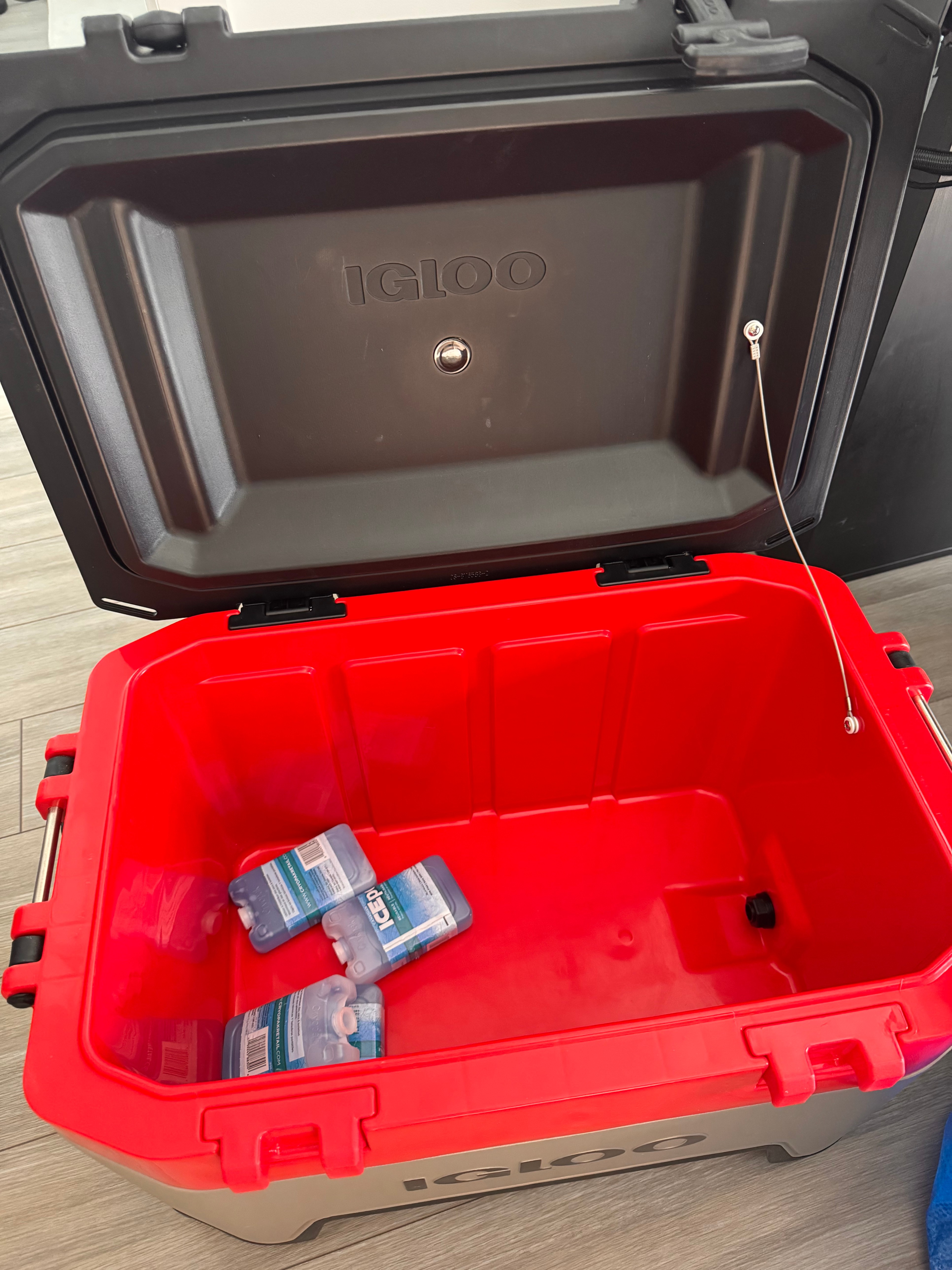 Igloo icebox for summer - photo 3