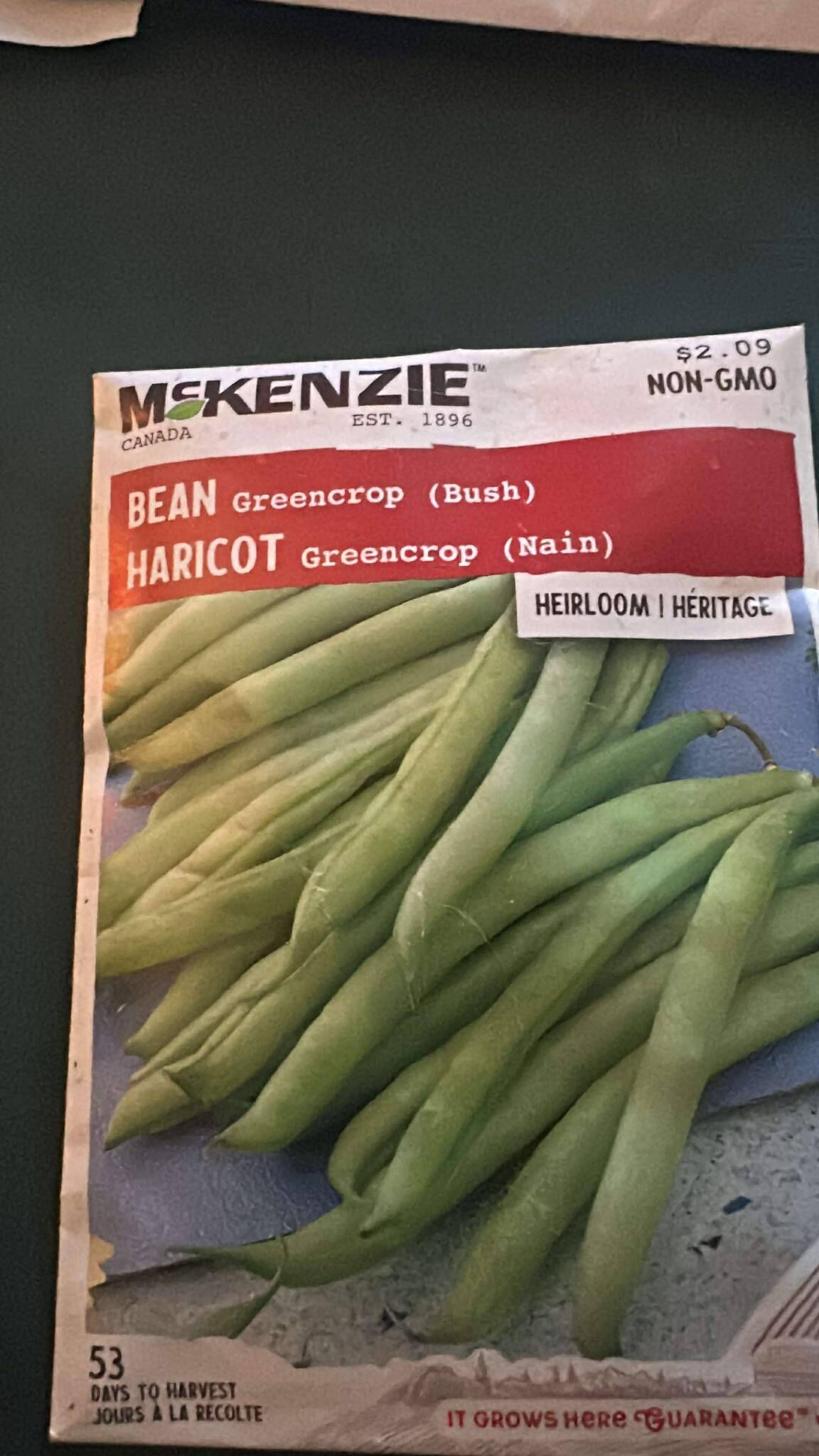 McKenzie Bean Greencrop (Bush) Seeds