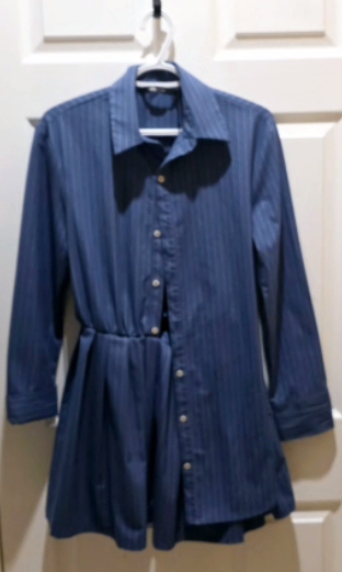 ZARA Blue Pinstriped Shirt Dress