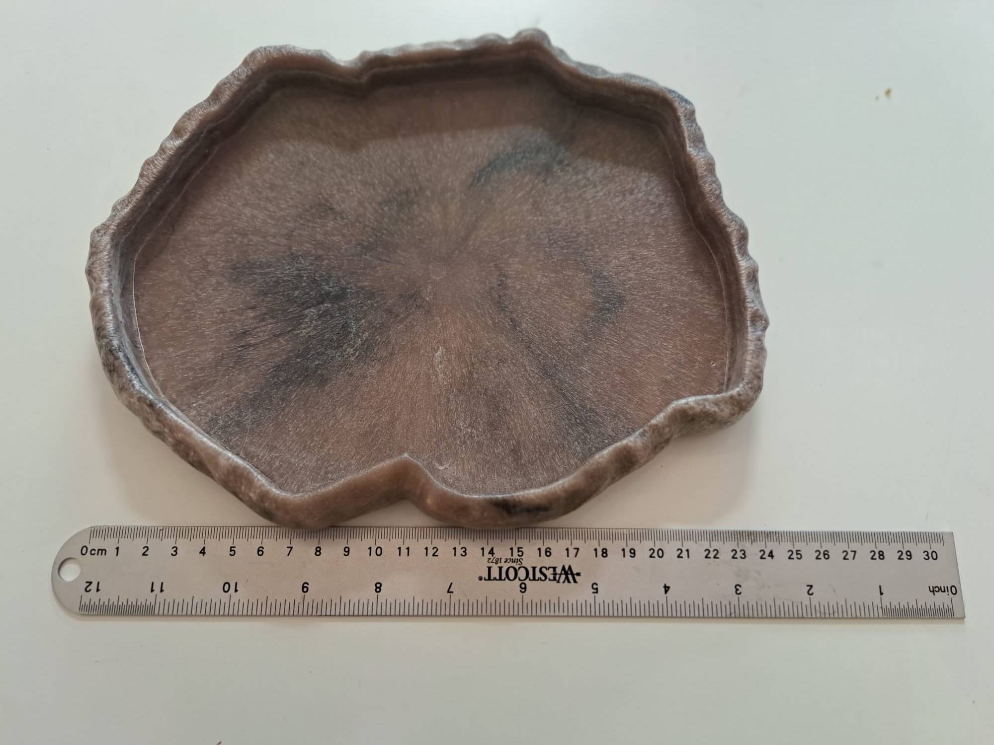 Reptile feeding dish - large
