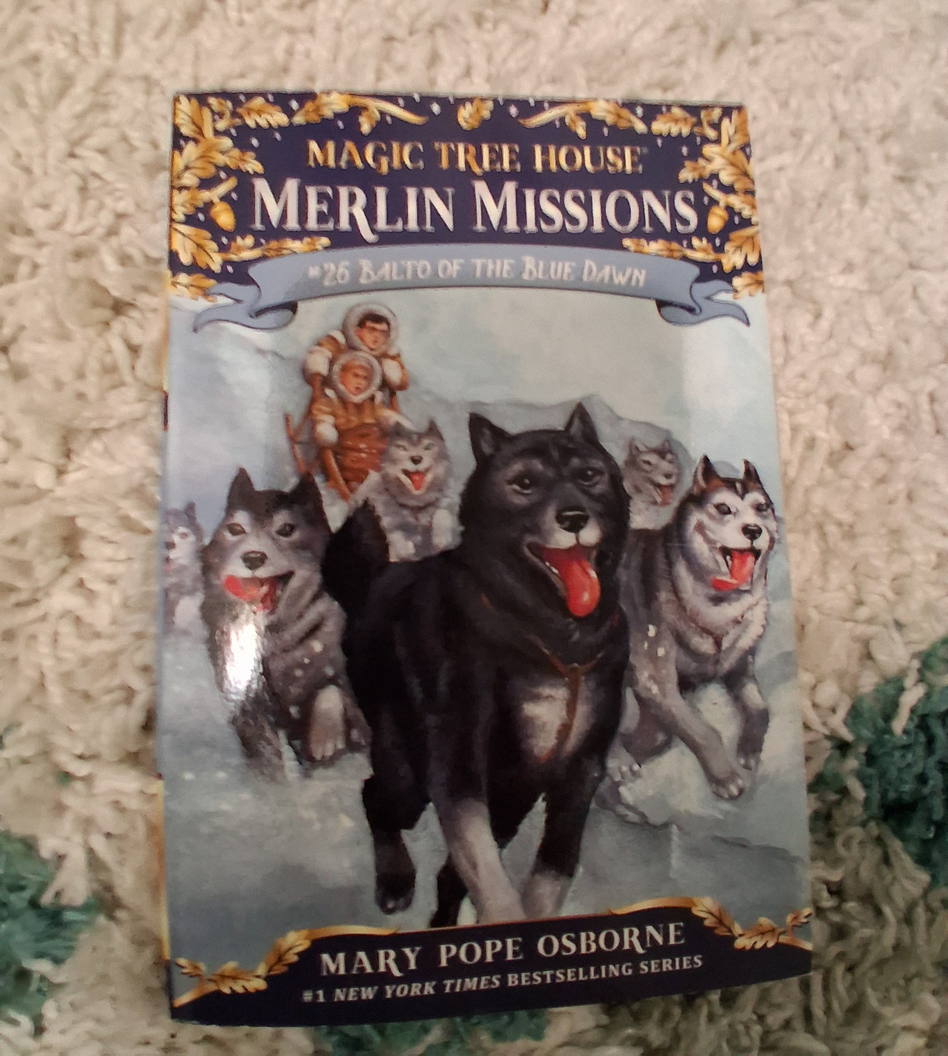 Magic tree house