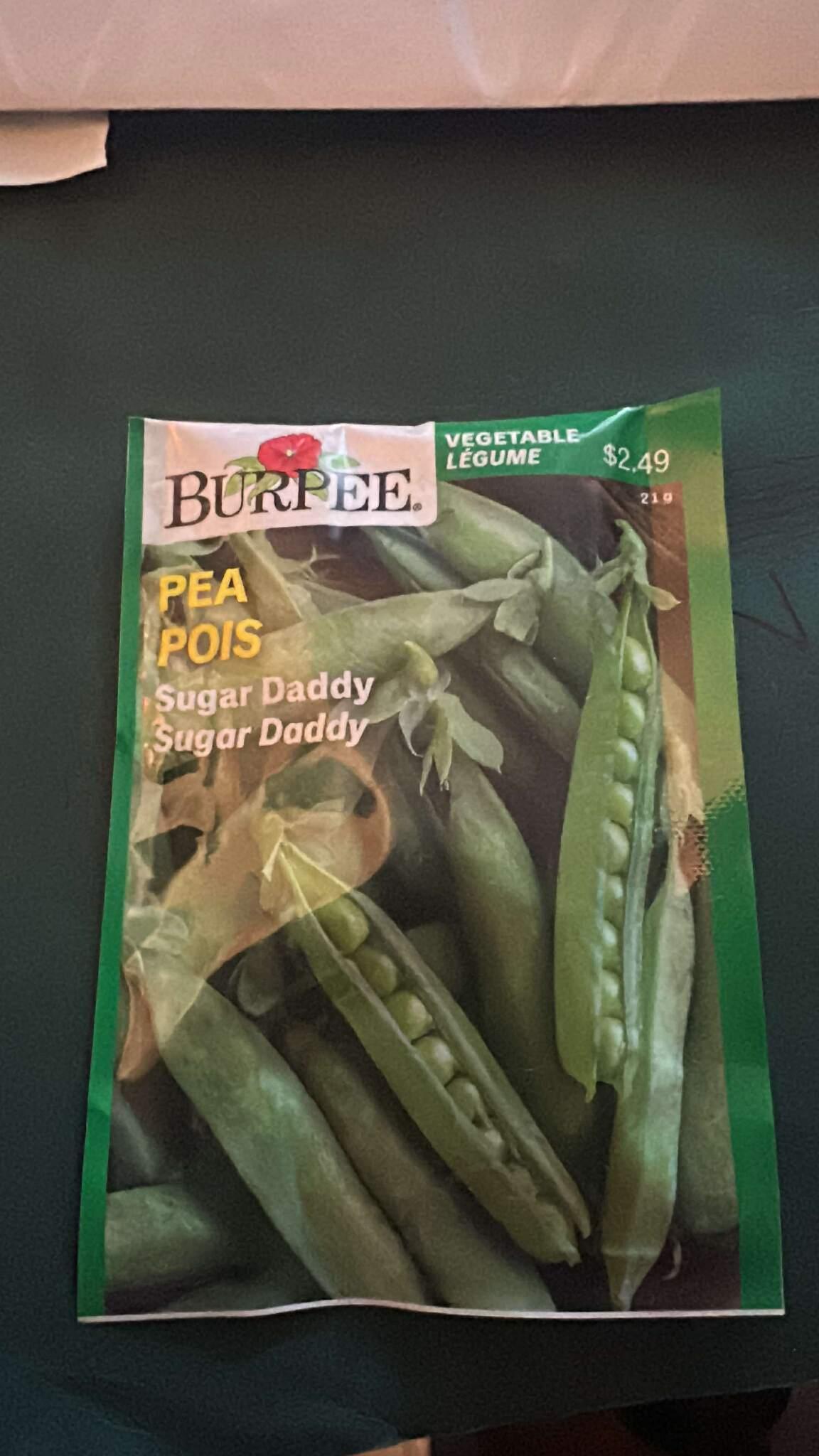 Burpee Sugar Daddy Pea Seeds