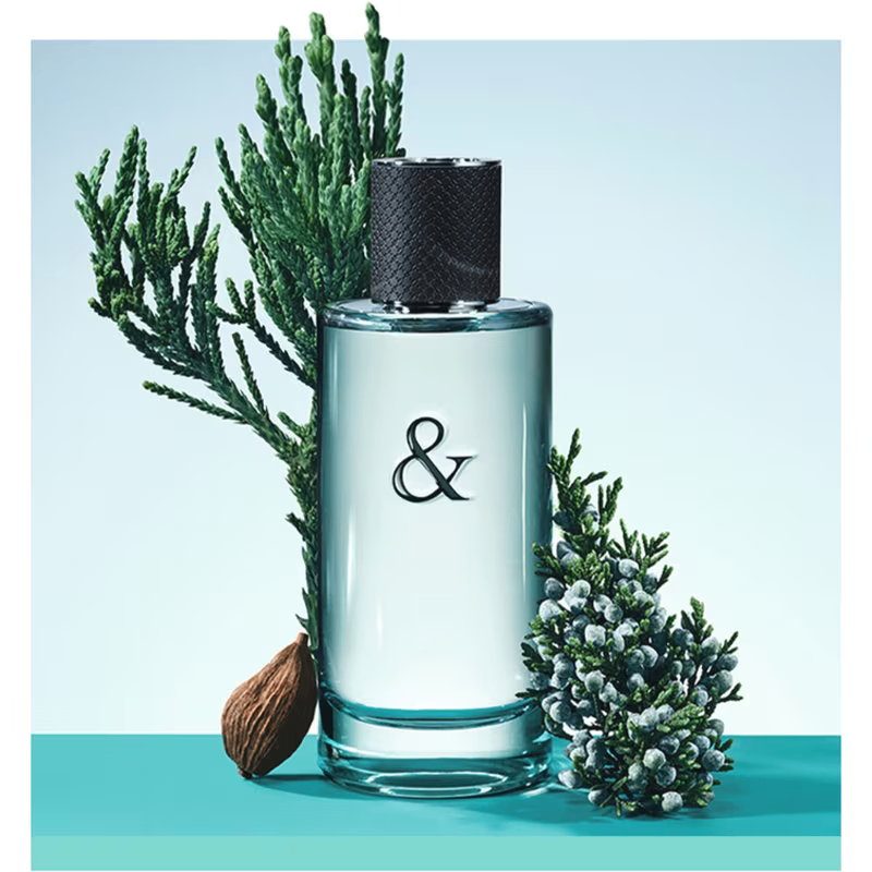TIFFANY & CO TIFFANY & LOVE FOR HIM EDT 90ML NEW. SEALED. - photo 3
