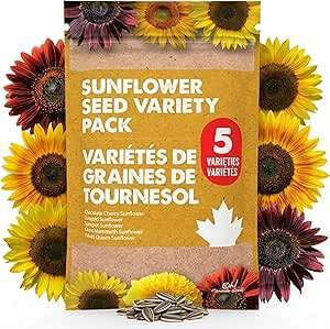 Sunflower Seed Variety Pack - 4 Varieties