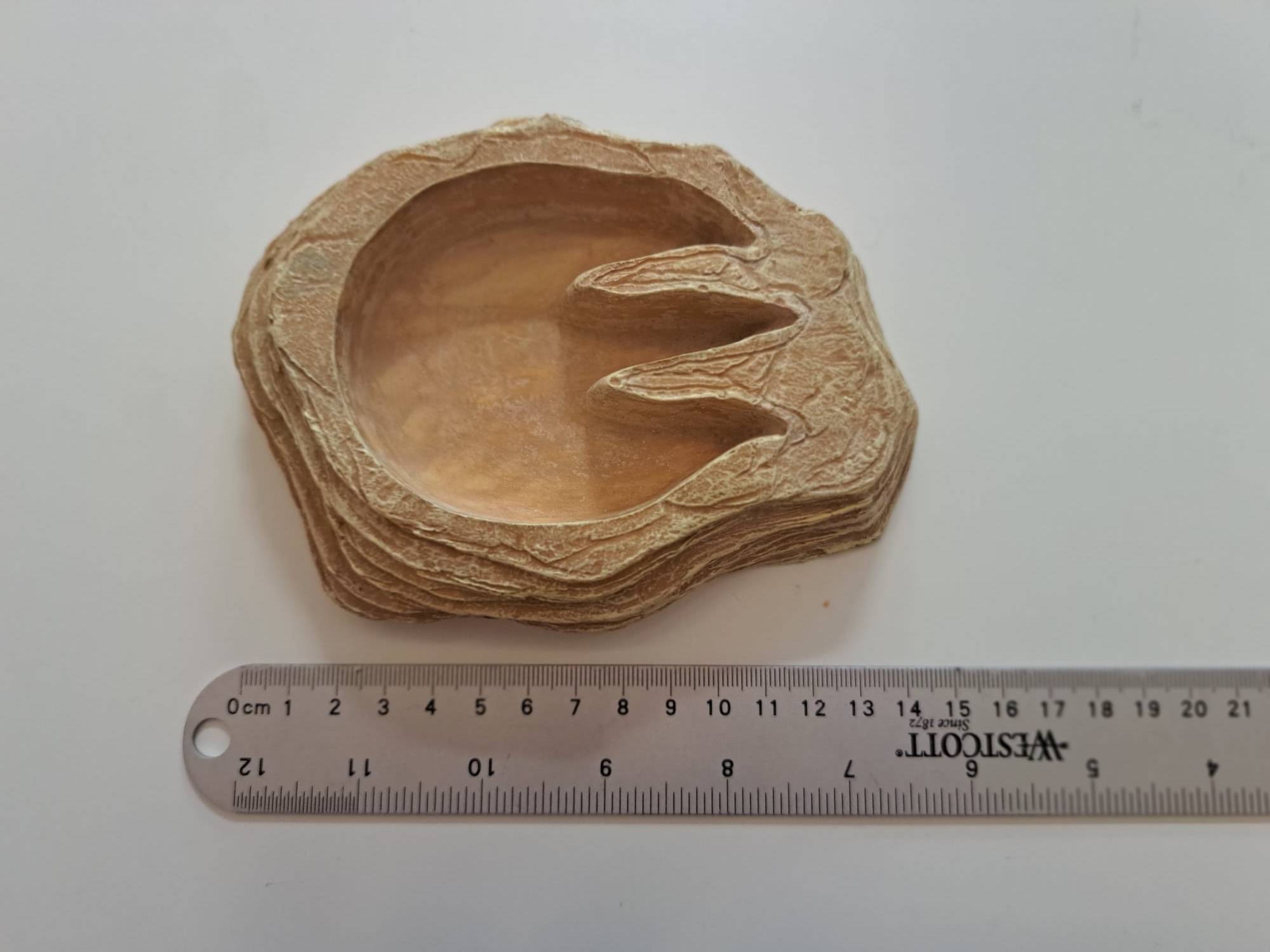 Reptile feeding dish - small