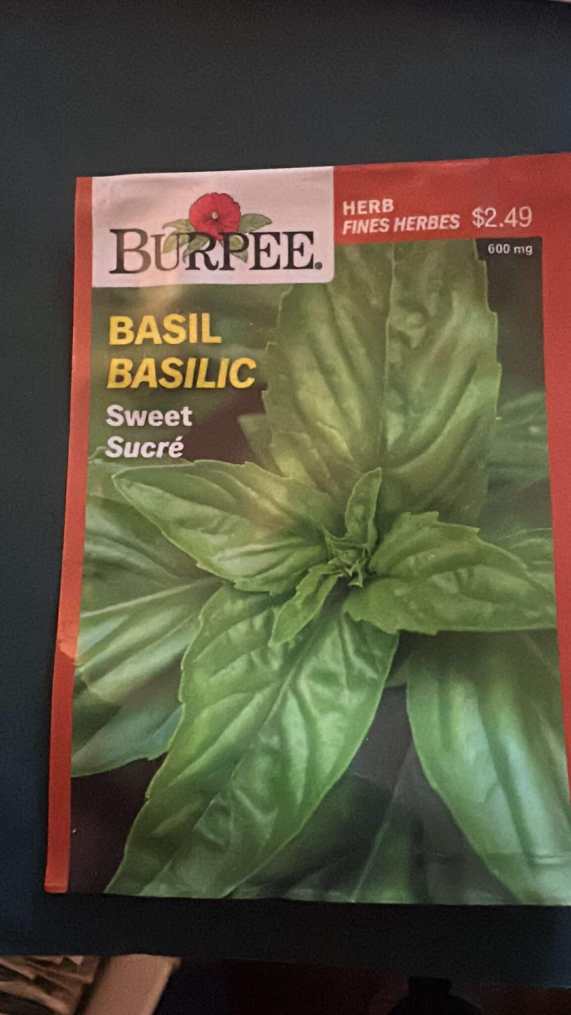 5 Burpee Basil Sweet Seed Packet