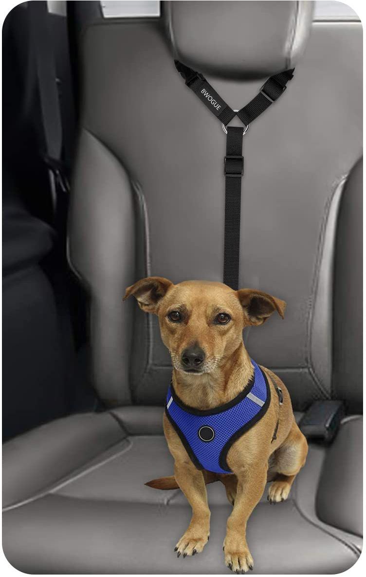 🏆 New Black Dog/Cat Car Seat Belt Restraint - photo 3