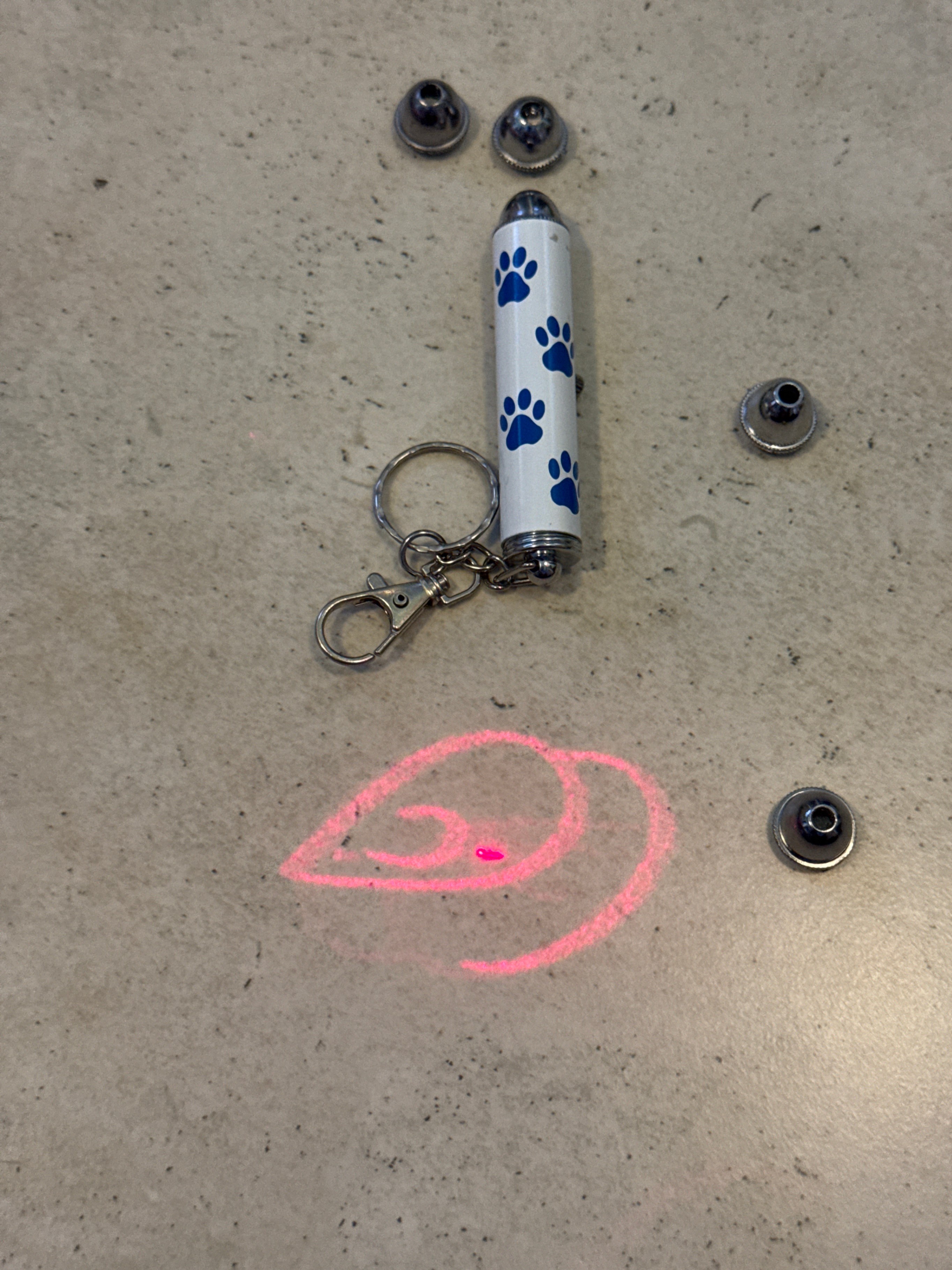 🏆 Dog/Cat Laser Pointer Toy with Keychain - photo 4