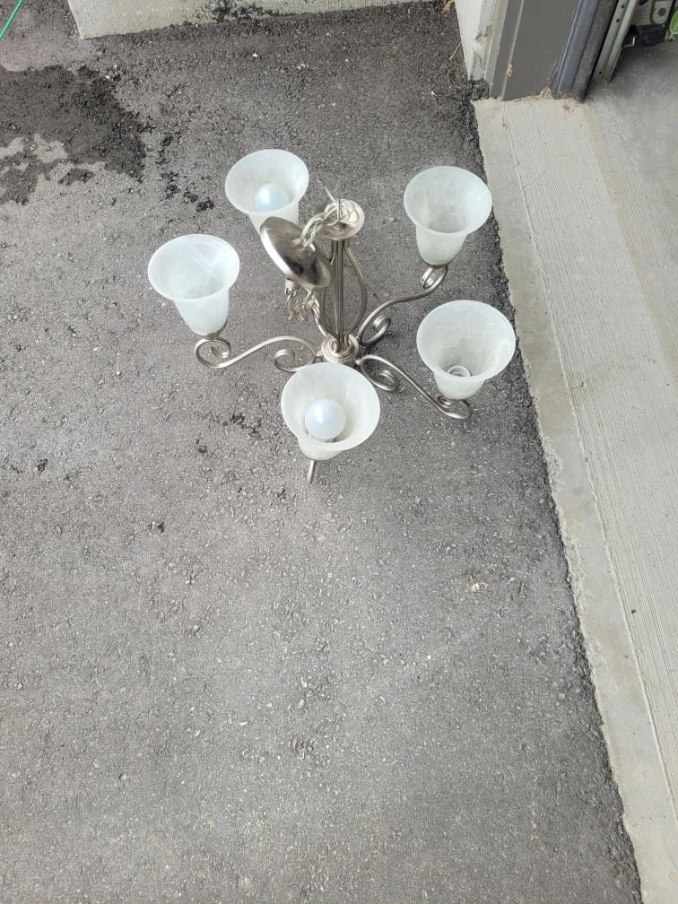 5 Light Light Fixture