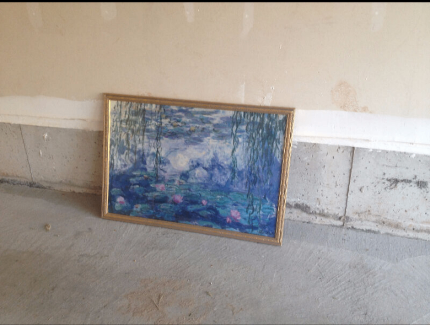 Monet's Water Lilies Framed Print