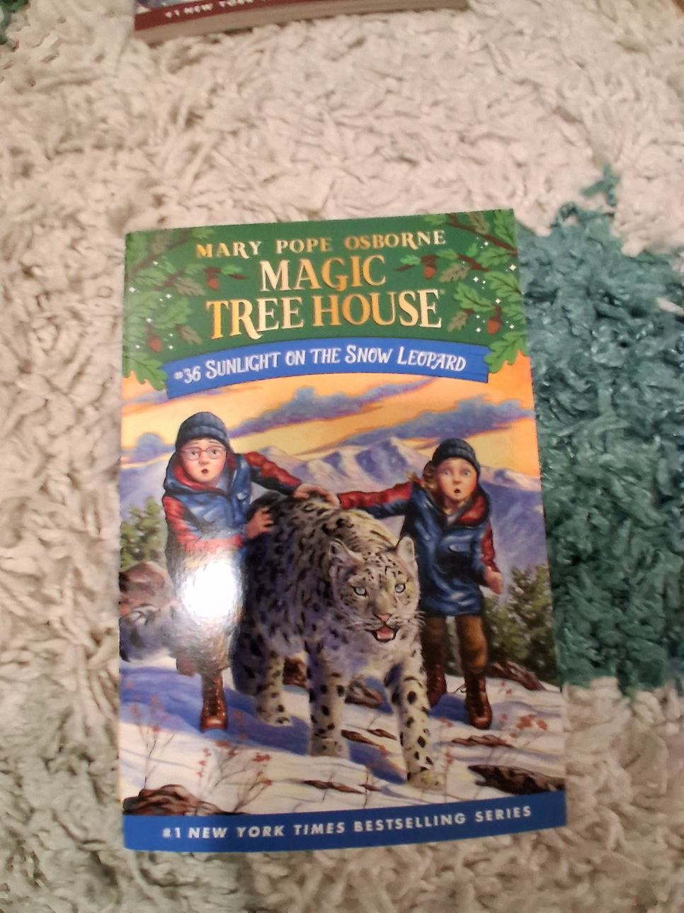Magic tree house