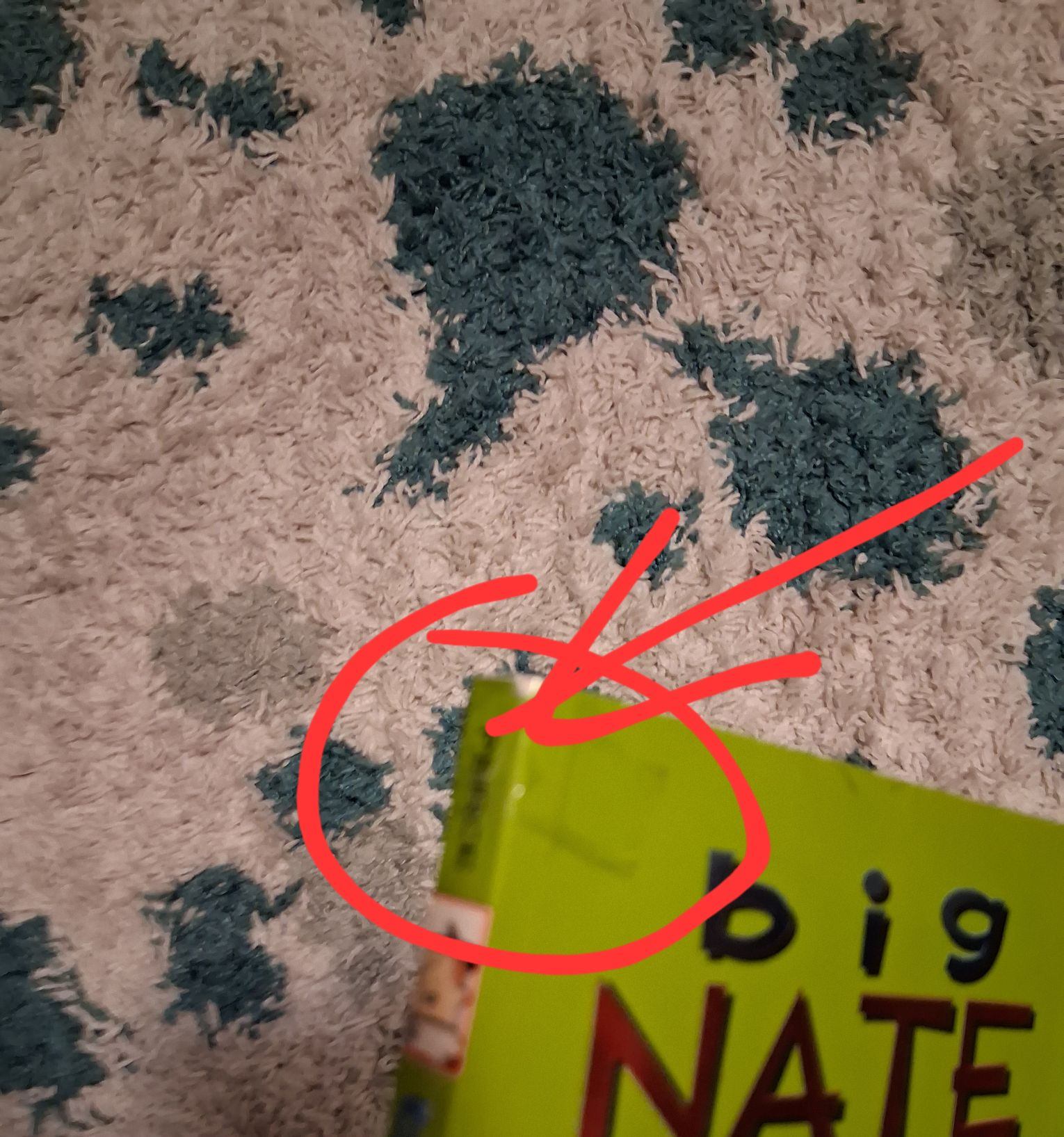 Big Nate: The Revenge Of The Cream Puffs - photo 2