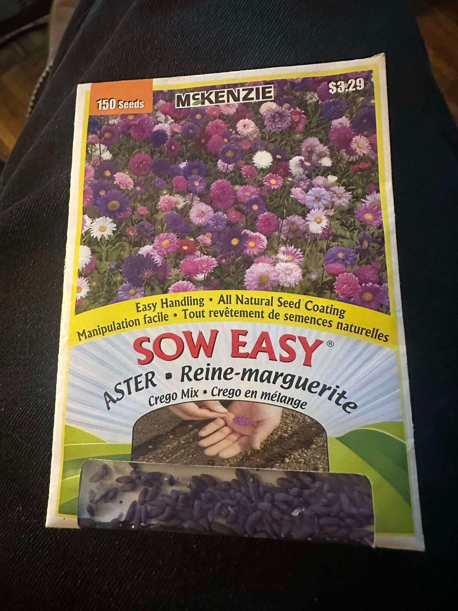 1 McKenzie Sow Easy Aster Seeds