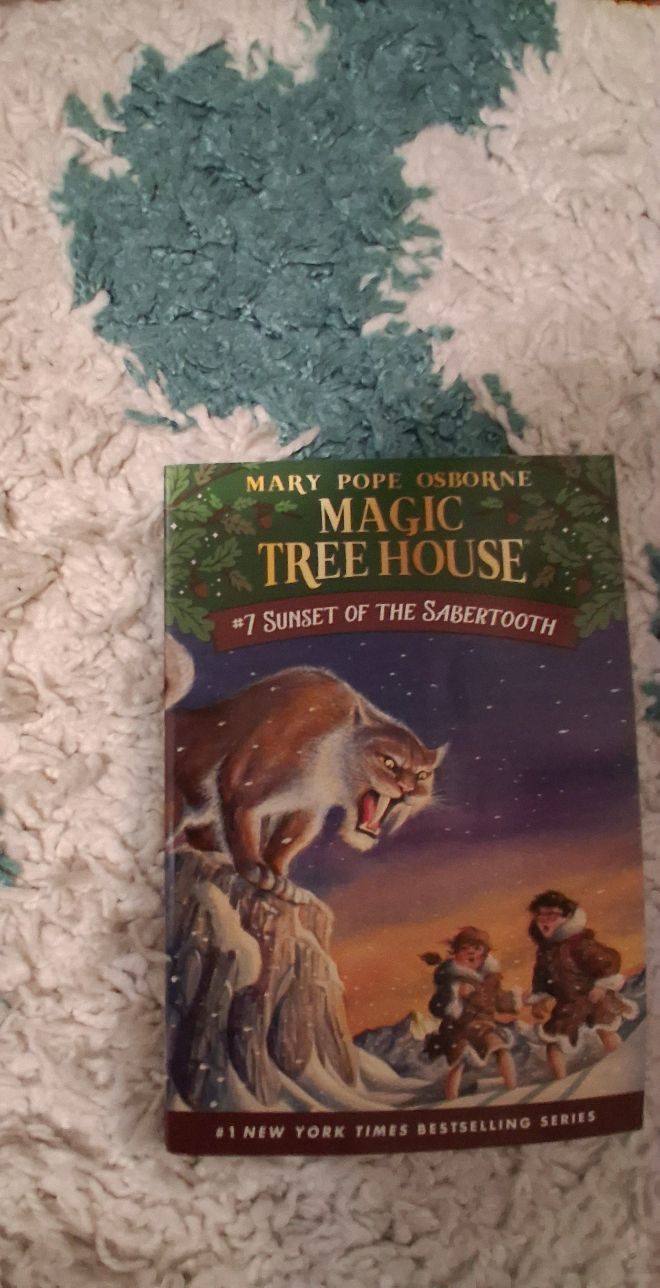 Magic tree house