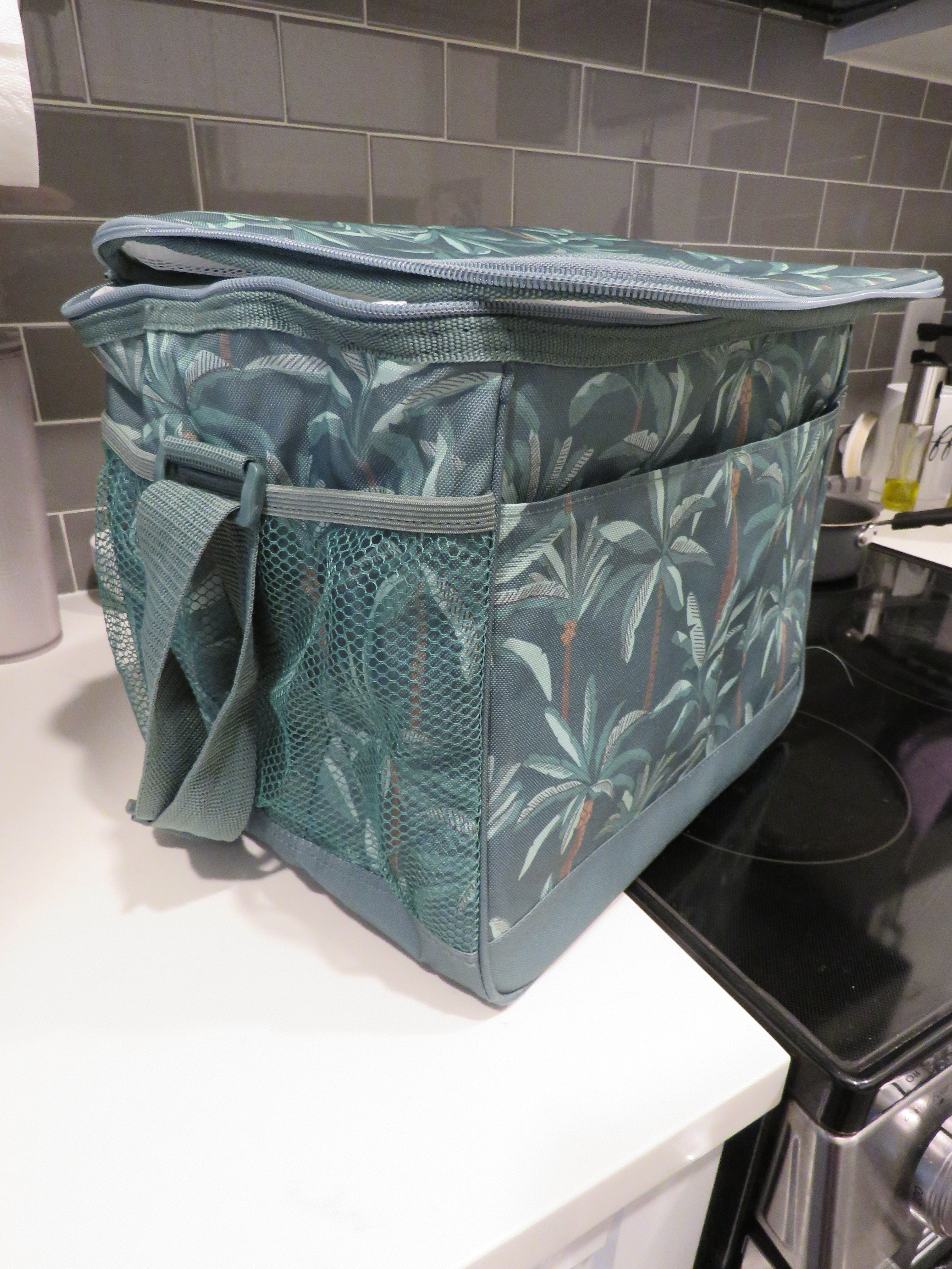 Foldable Cooler Bag