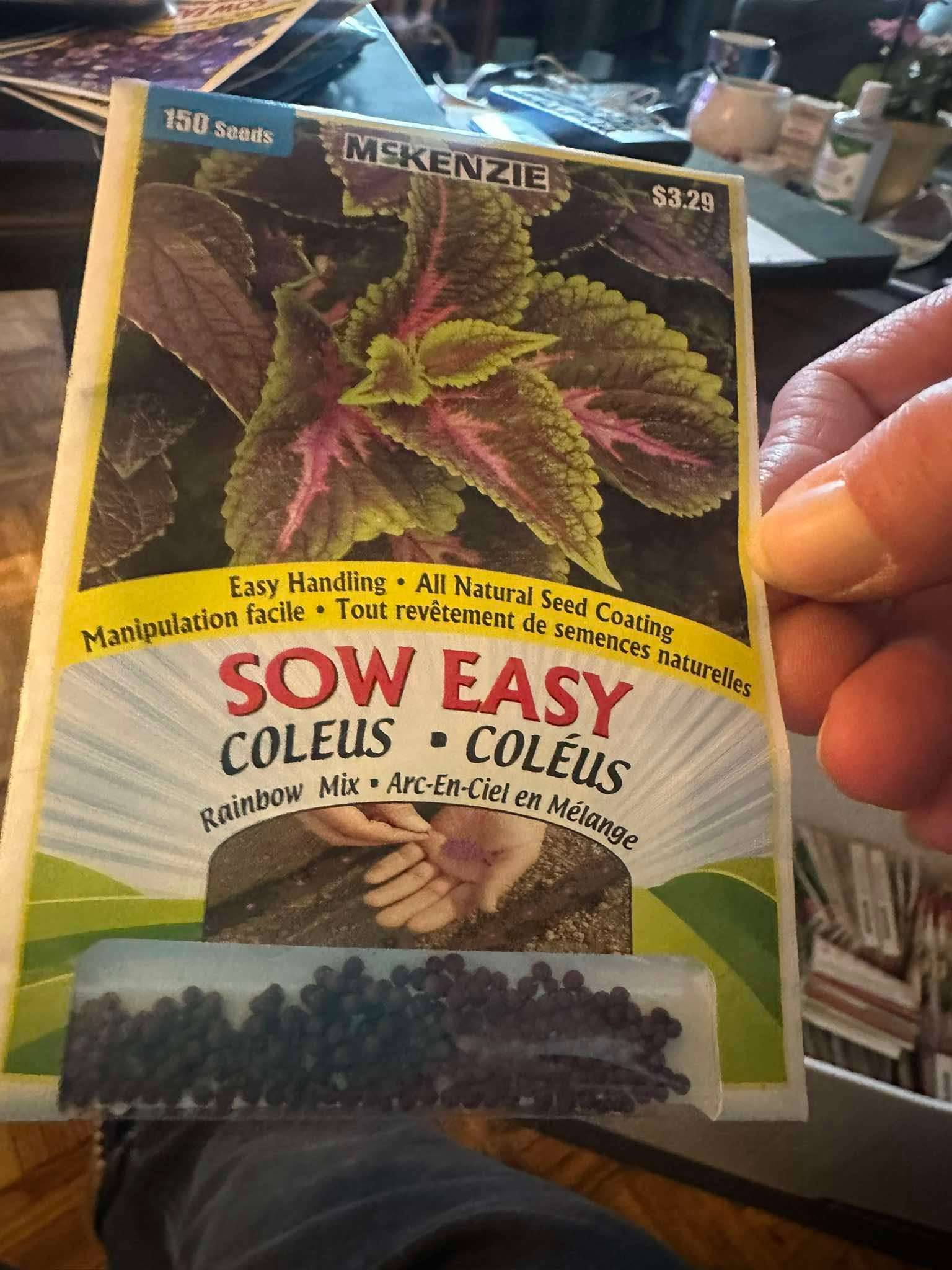 4 McKenzie Sow Easy Coleus Seeds - Rainbow Mix