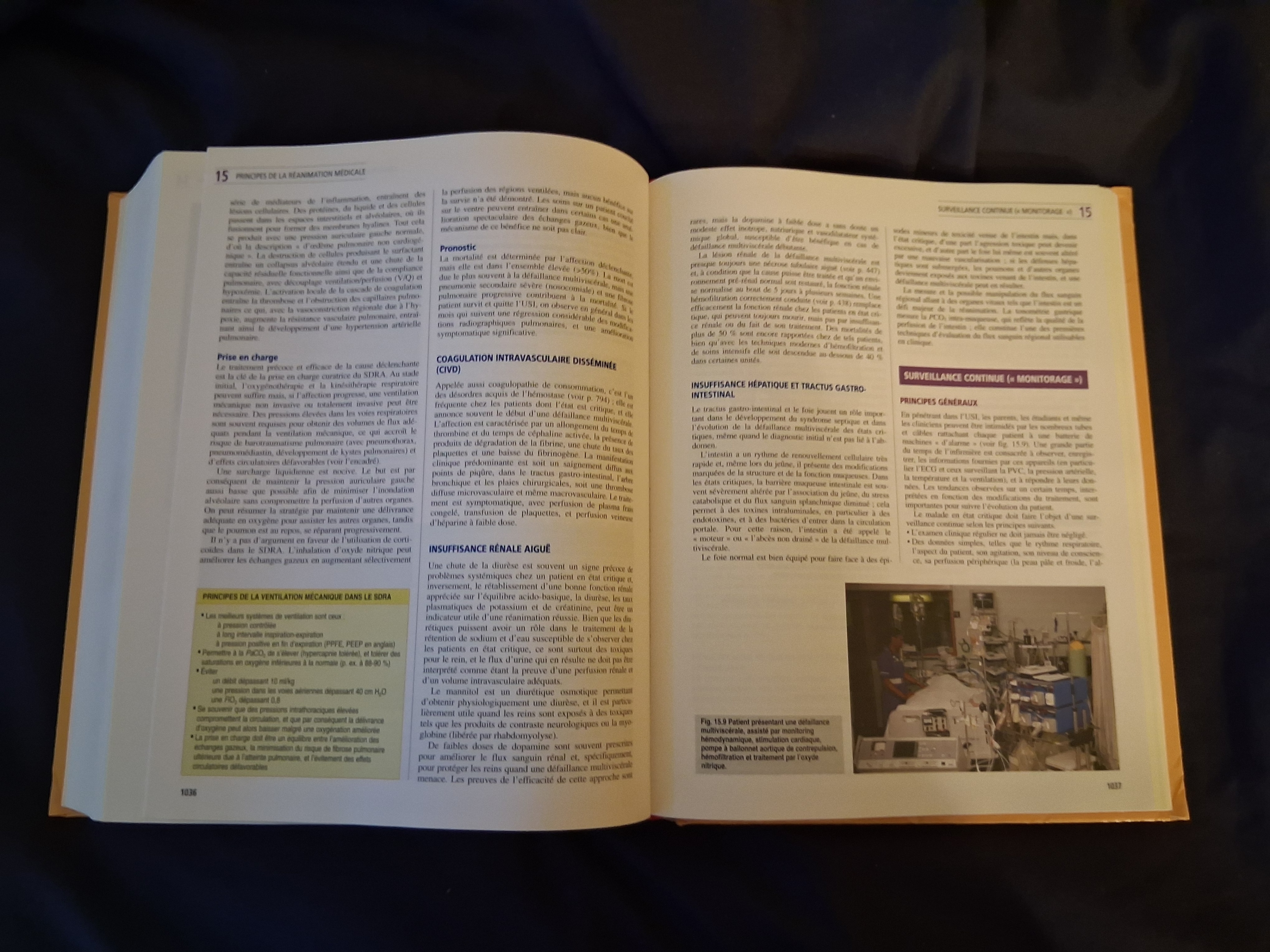 French Medecine Interne book for students or professionals - photo 3