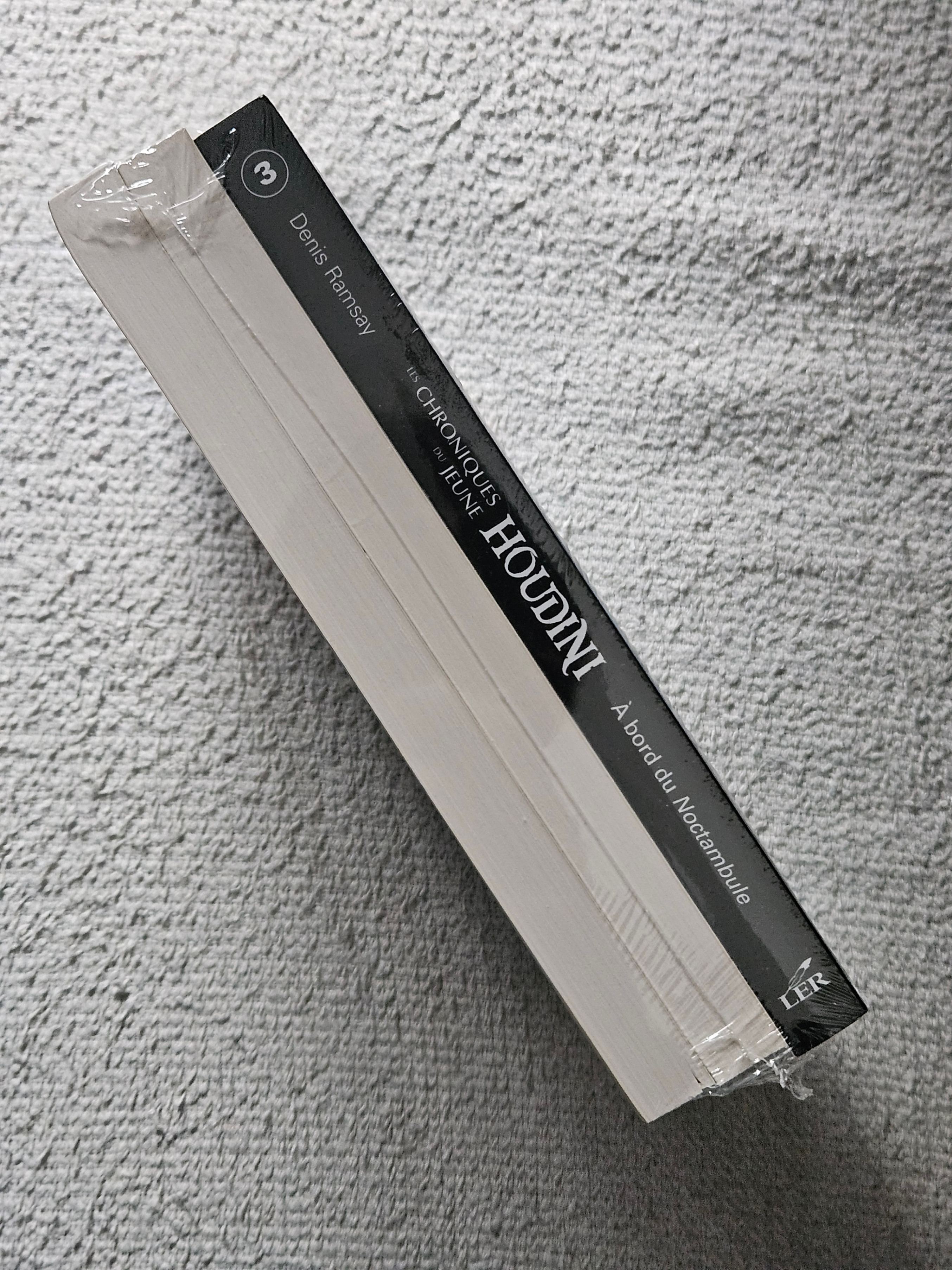 Denis Ramsay - Les Chroniques du Jeune Houdini (Books 1, 2, & 3) - photo 3
