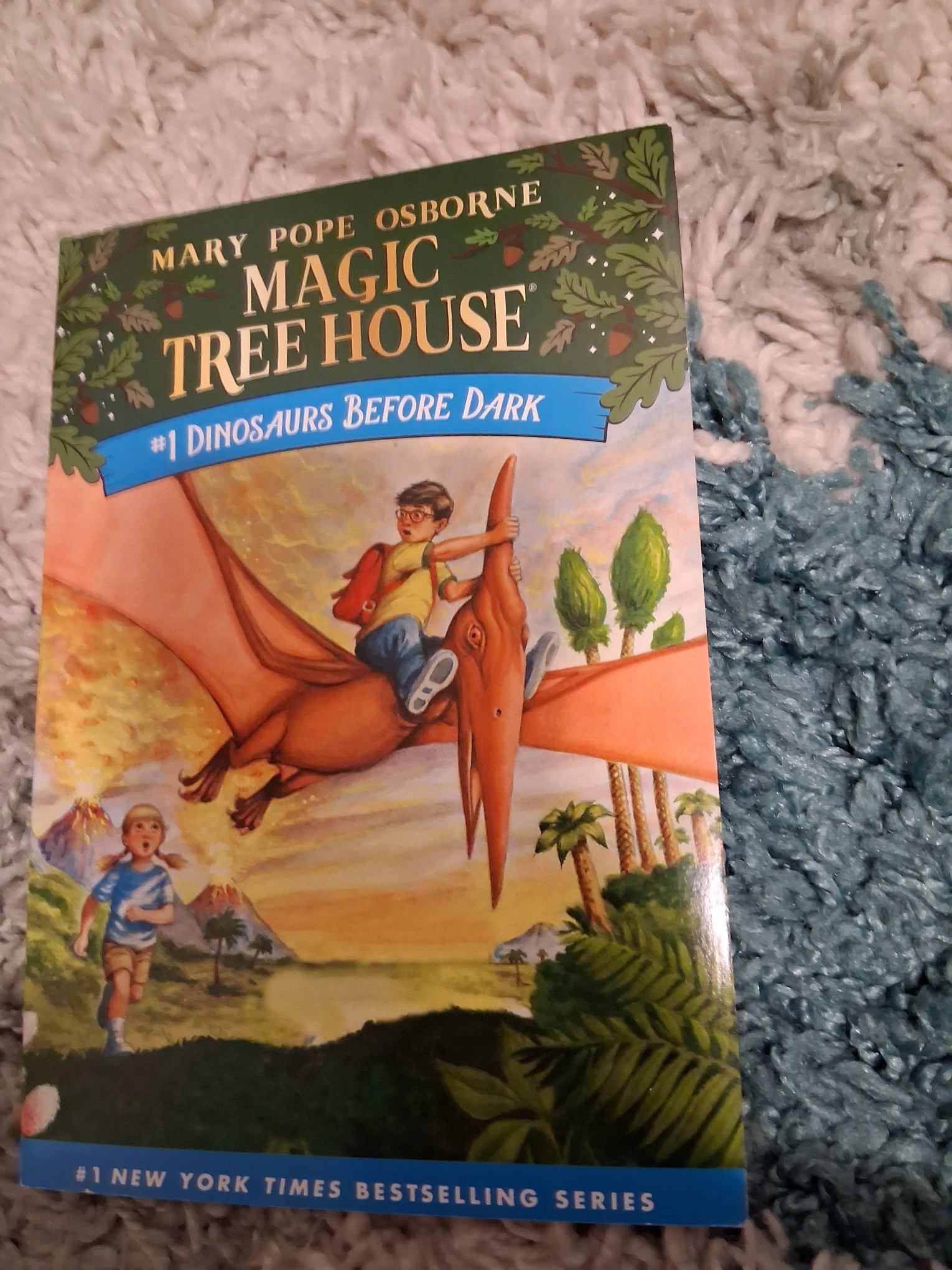 Magic tree house