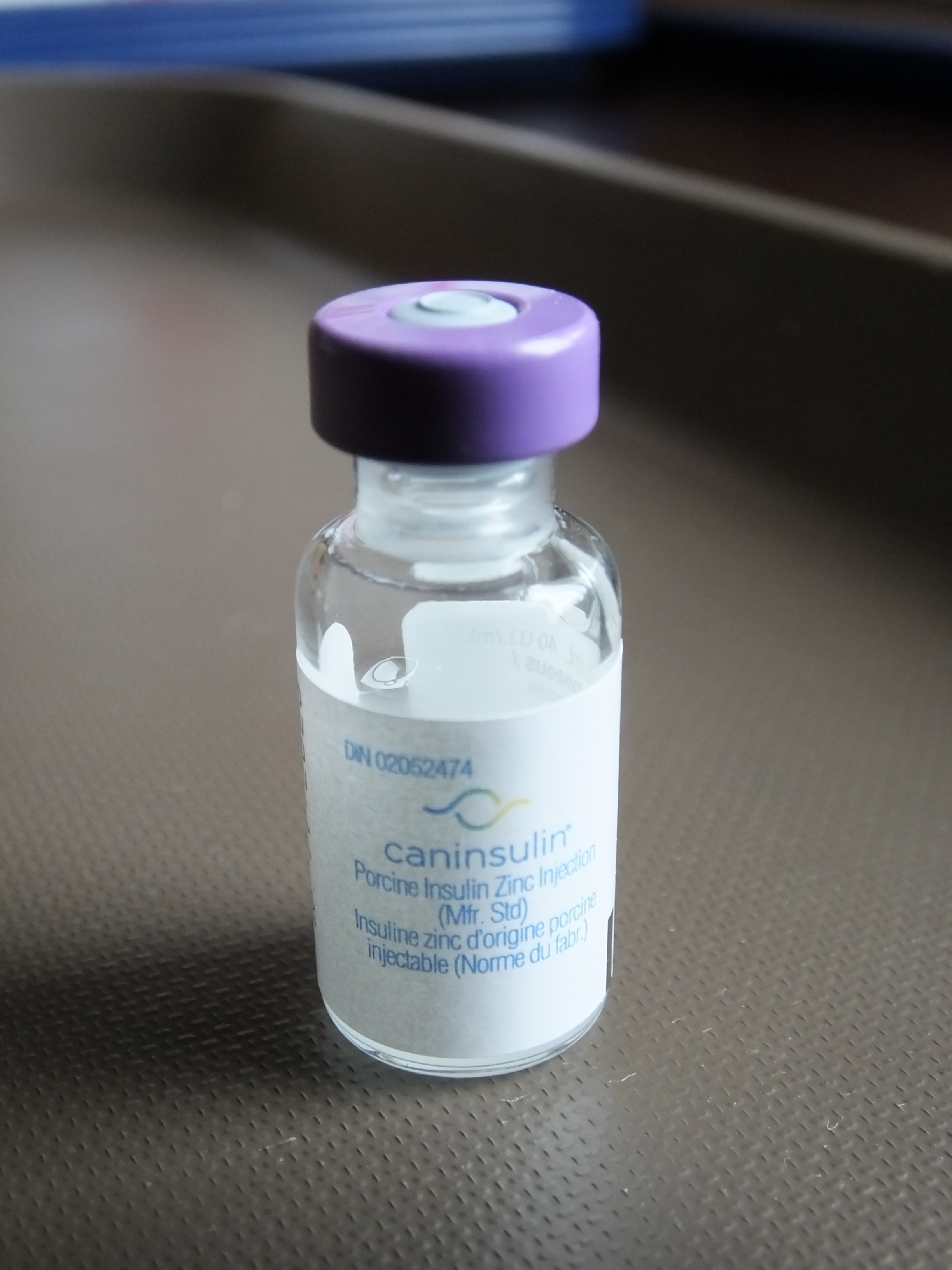 Caninsulin for Dogs & Cats + 12 U-40 insulin syringe (Brand New) - photo 2